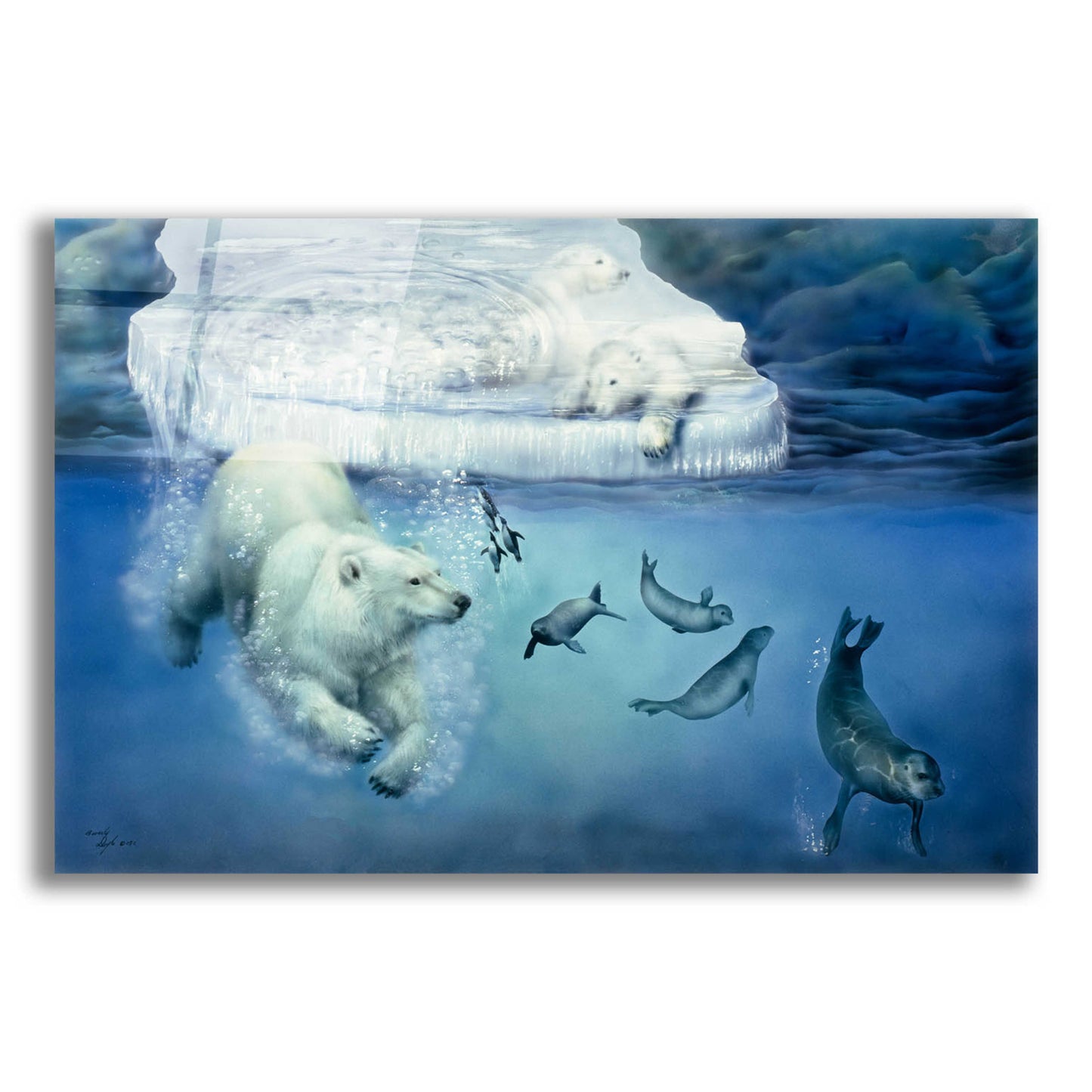 Epic Art 'Polar Bears & Seals' by Beverly Doyle, Acrylic Glass Wall Art,24x16