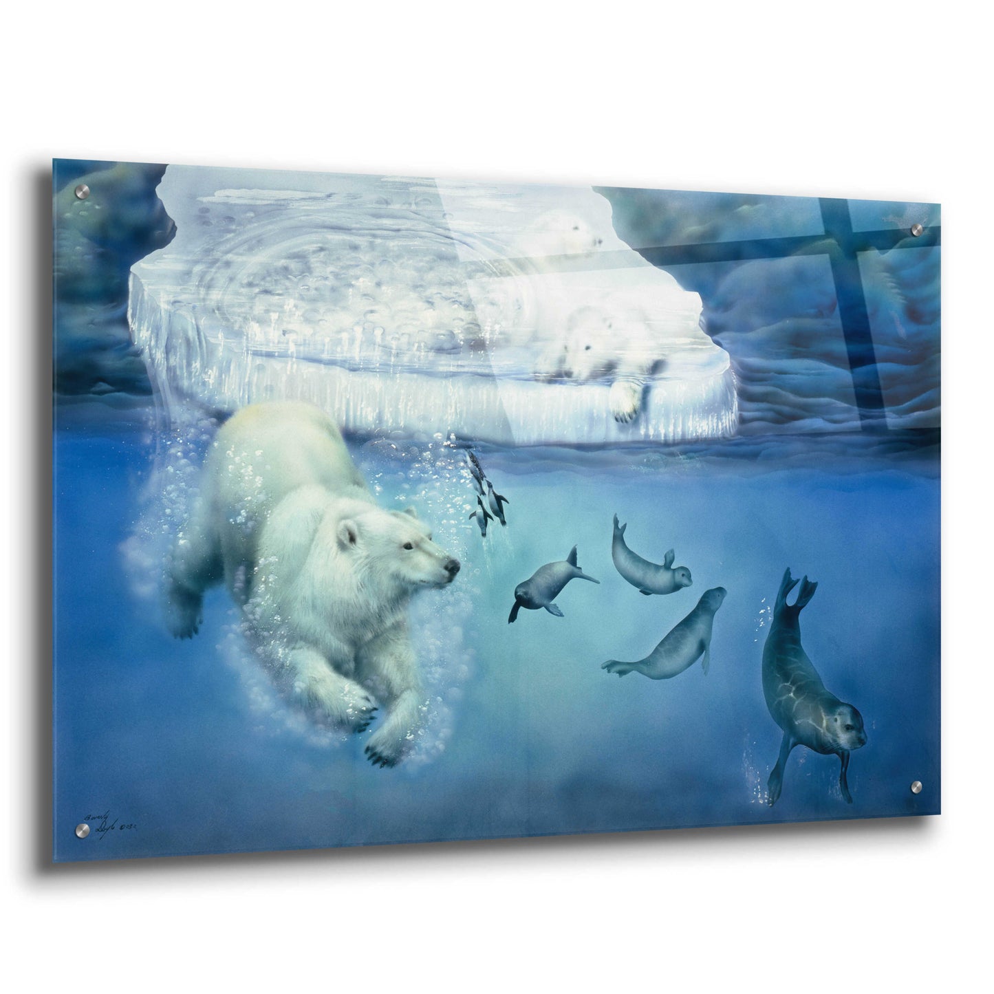 Epic Art 'Polar Bears & Seals' by Beverly Doyle, Acrylic Glass Wall Art,36x24