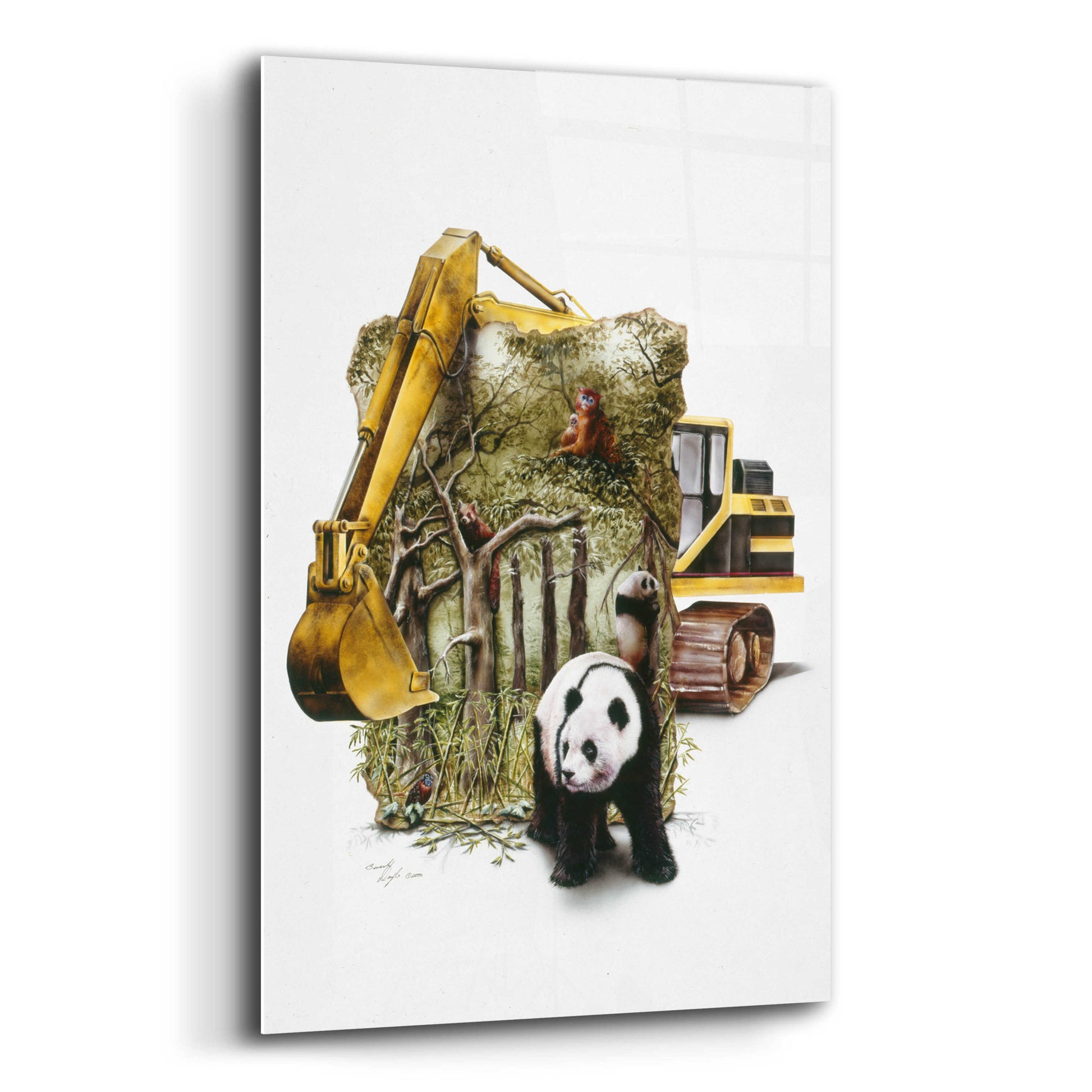 Epic Art 'Endangered Panda' by Beverly Doyle, Acrylic Glass Wall Art,12x16