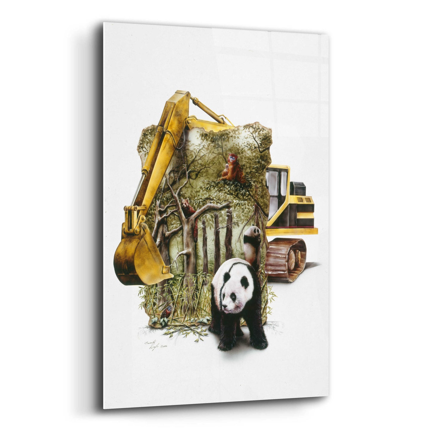 Epic Art 'Endangered Panda' by Beverly Doyle, Acrylic Glass Wall Art,16x24