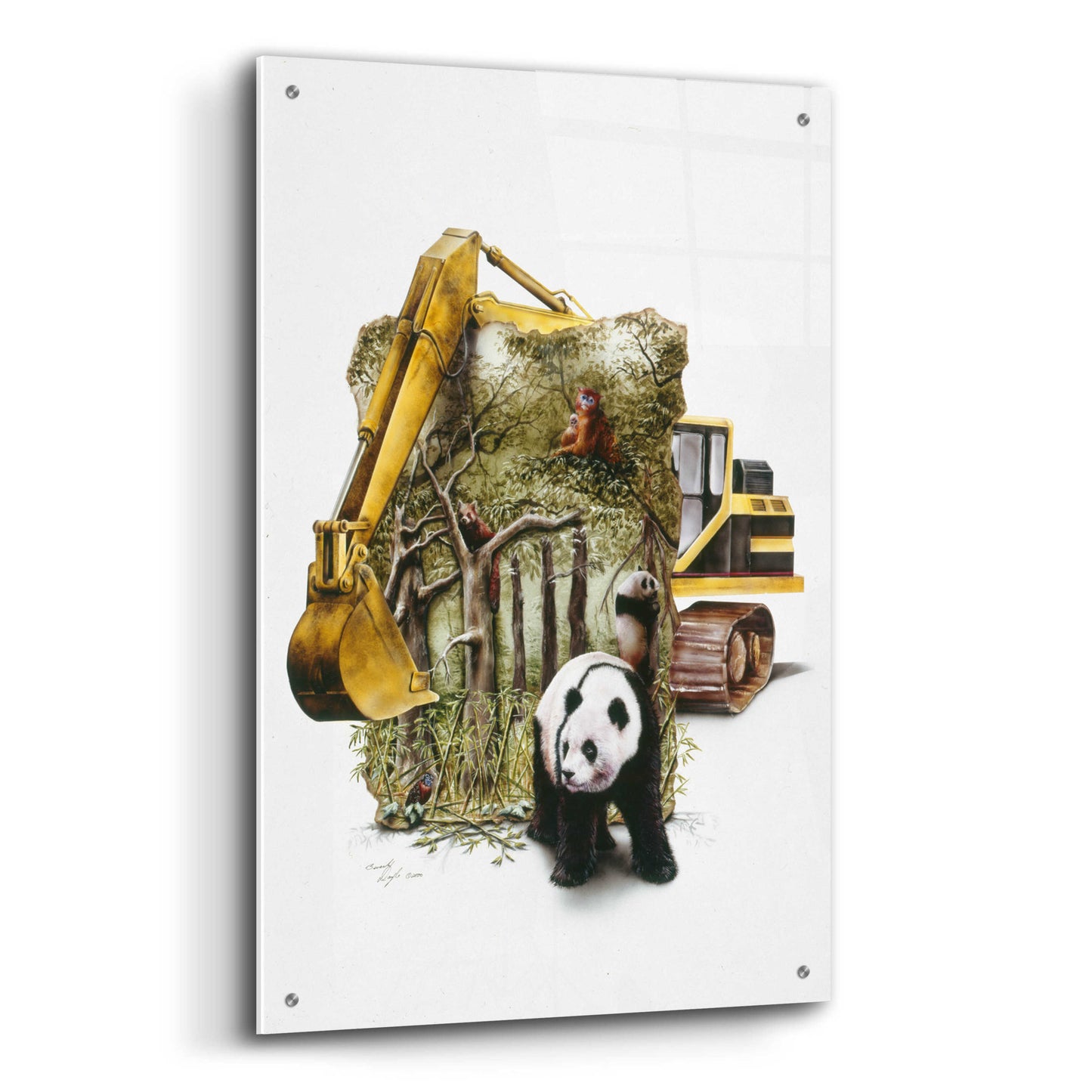 Epic Art 'Endangered Panda' by Beverly Doyle, Acrylic Glass Wall Art,24x36