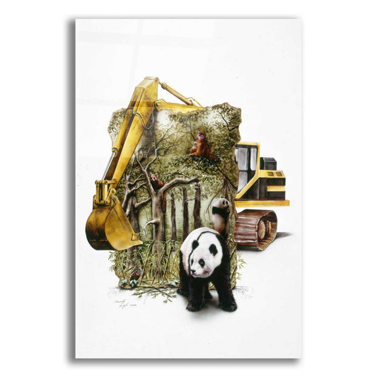 Epic Art 'Endangered Panda' by Beverly Doyle, Acrylic Glass Wall Art