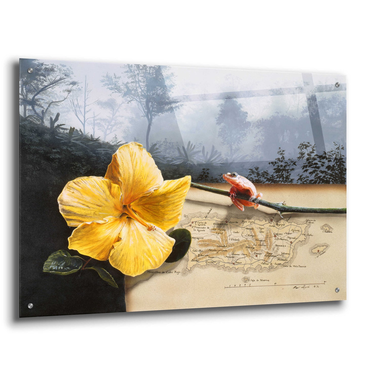Epic Art 'Hibiscus & Frog' by Beverly Doyle, Acrylic Glass Wall Art,36x24