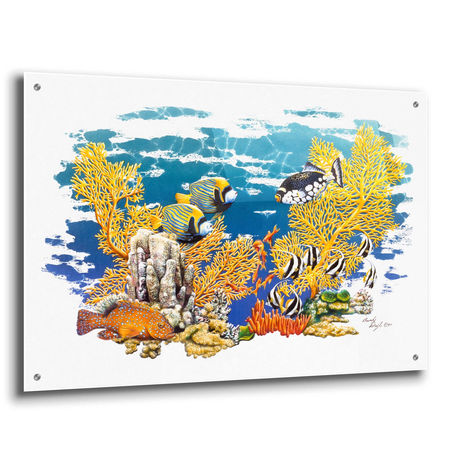 Epic Art 'Barrier Reef' by Beverly Doyle, Acrylic Glass Wall Art,36x24