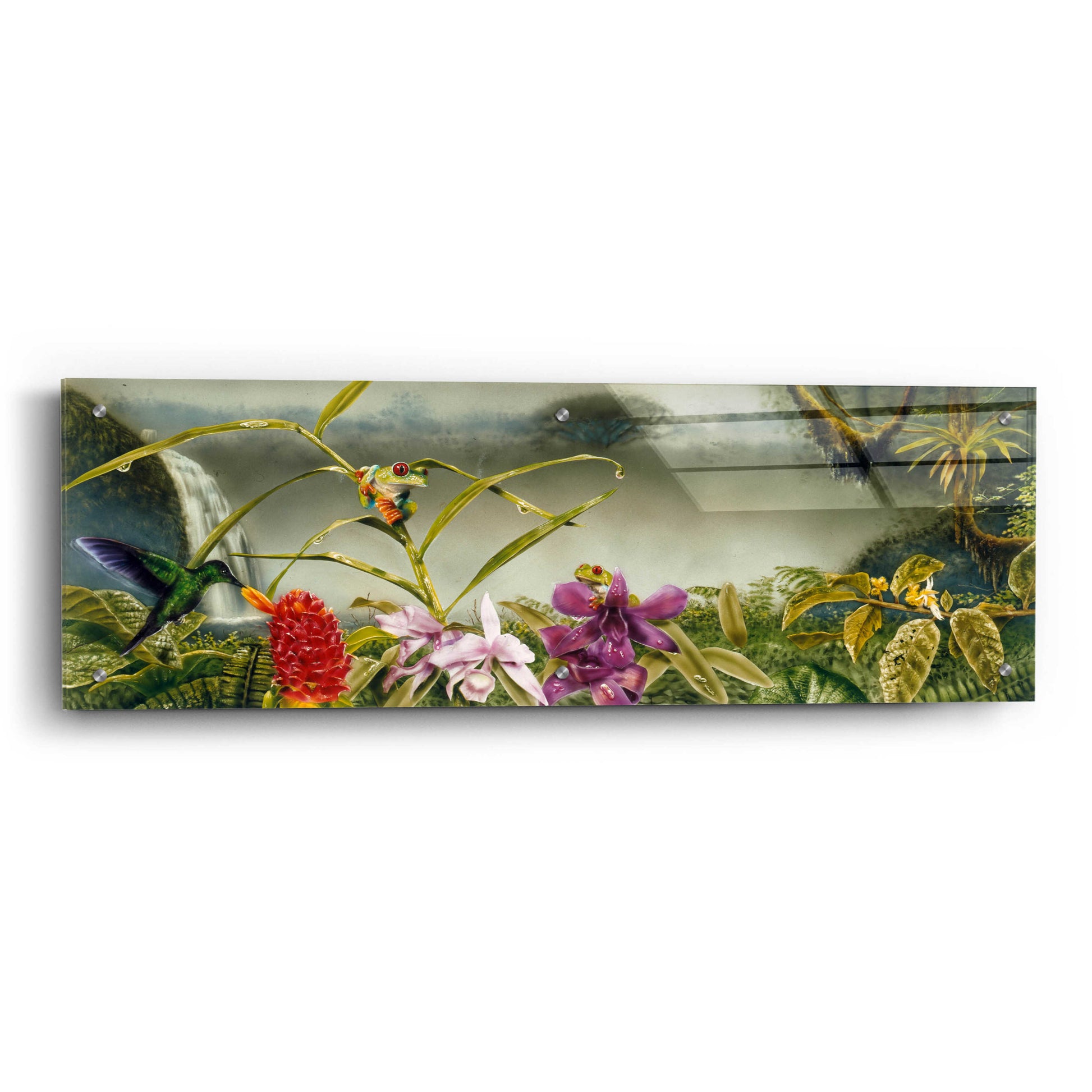 Epic Art 'Orchids & Exotic Frogs' by Beverly Doyle, Acrylic Glass Wall Art,36x12