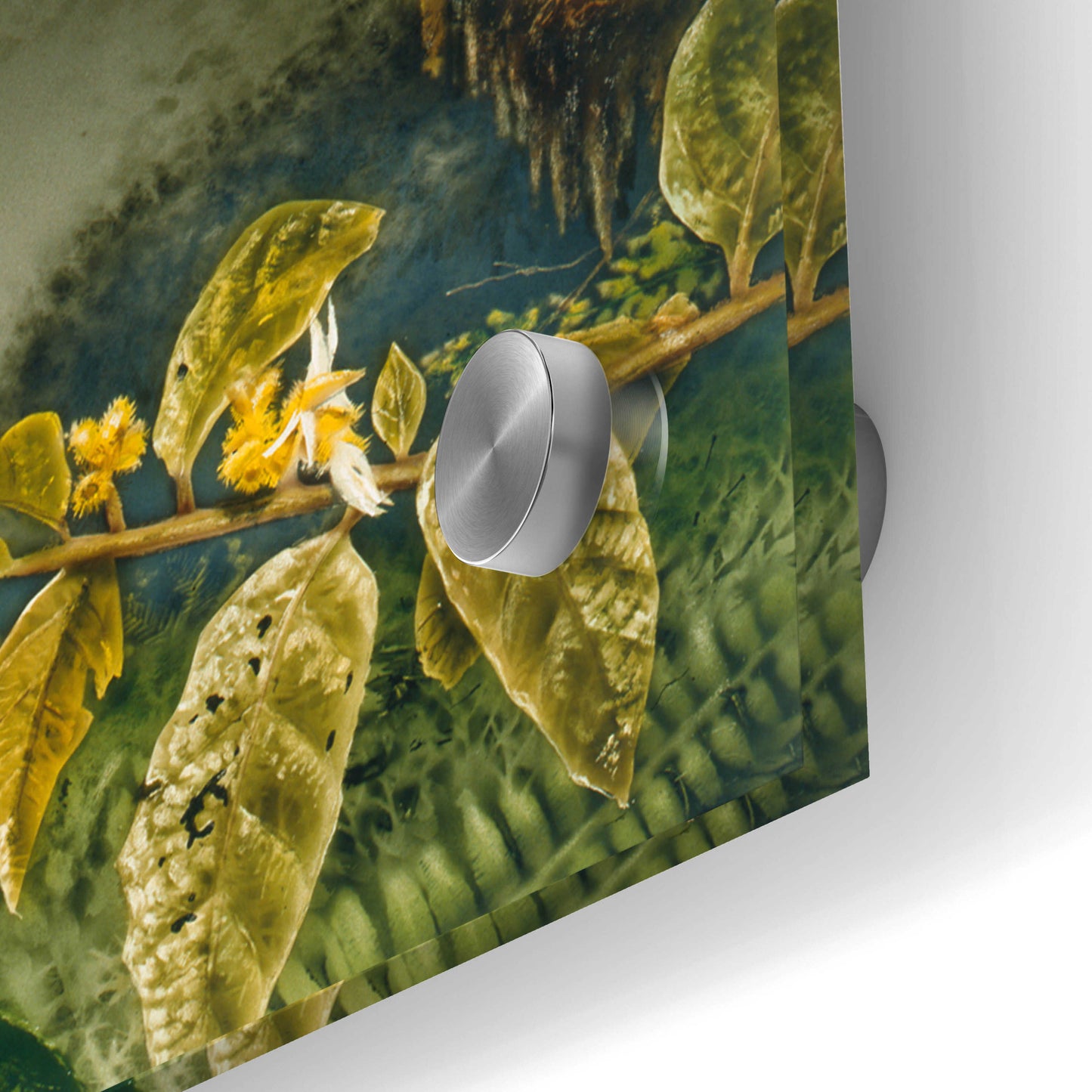 Epic Art 'Orchids & Exotic Frogs' by Beverly Doyle, Acrylic Glass Wall Art,36x12