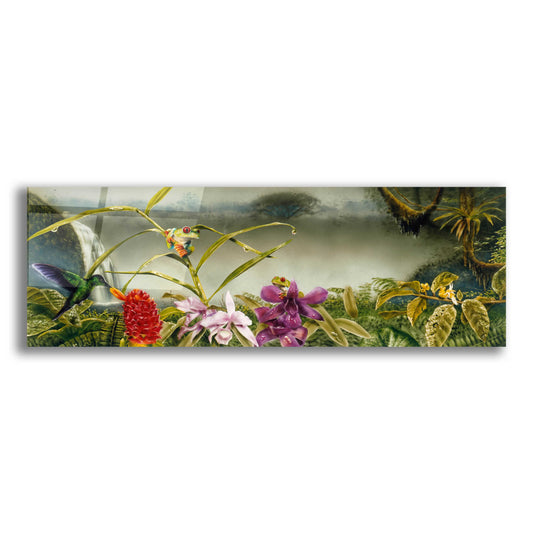 Epic Art 'Orchids & Exotic Frogs' by Beverly Doyle, Acrylic Glass Wall Art