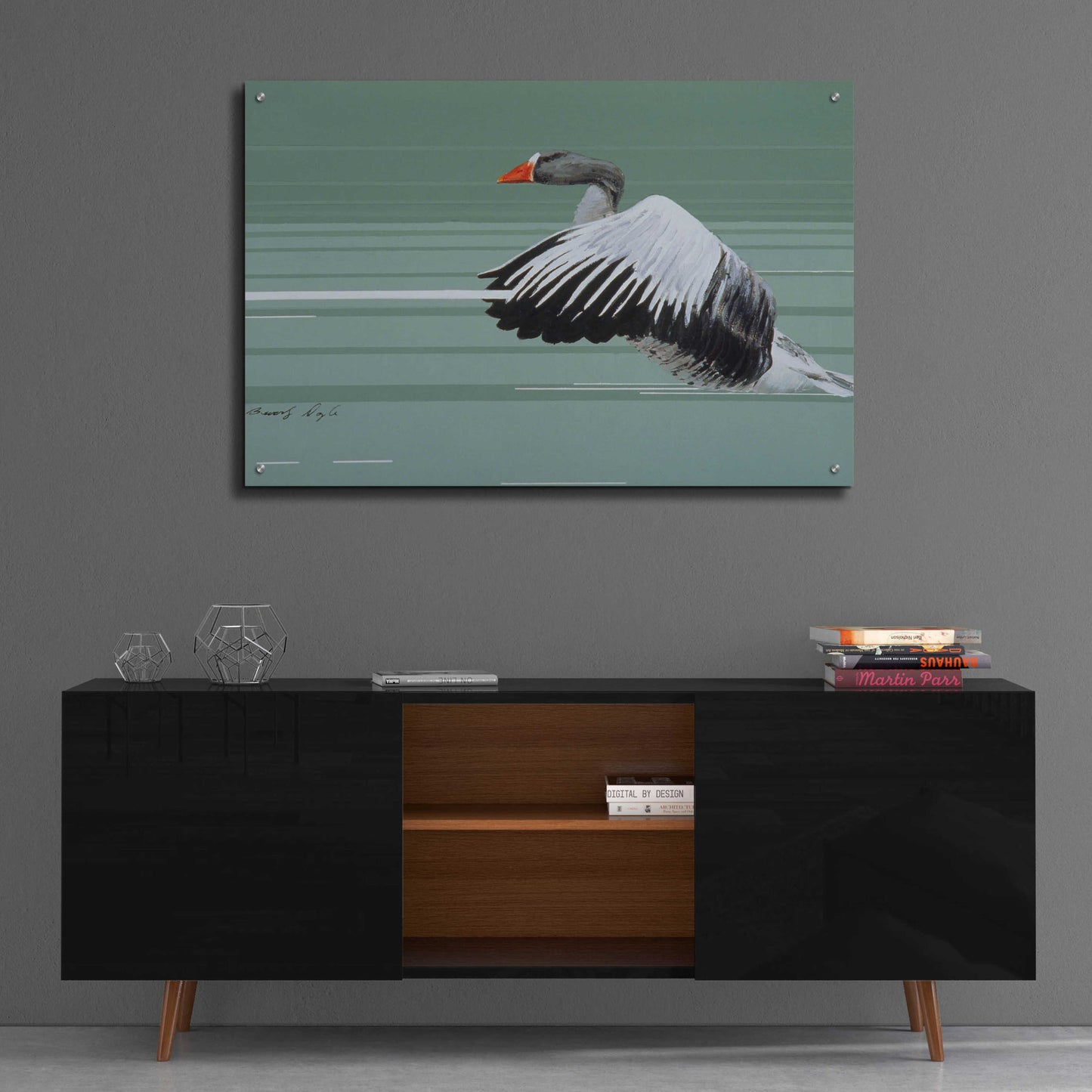 Epic Art 'Greylag' by Beverly Doyle, Acrylic Glass Wall Art,36x24