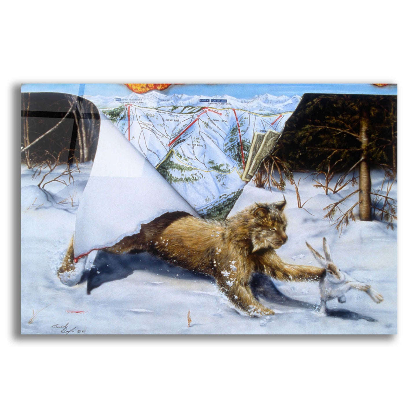 Epic Art 'Lynx' by Beverly Doyle, Acrylic Glass Wall Art,24x16