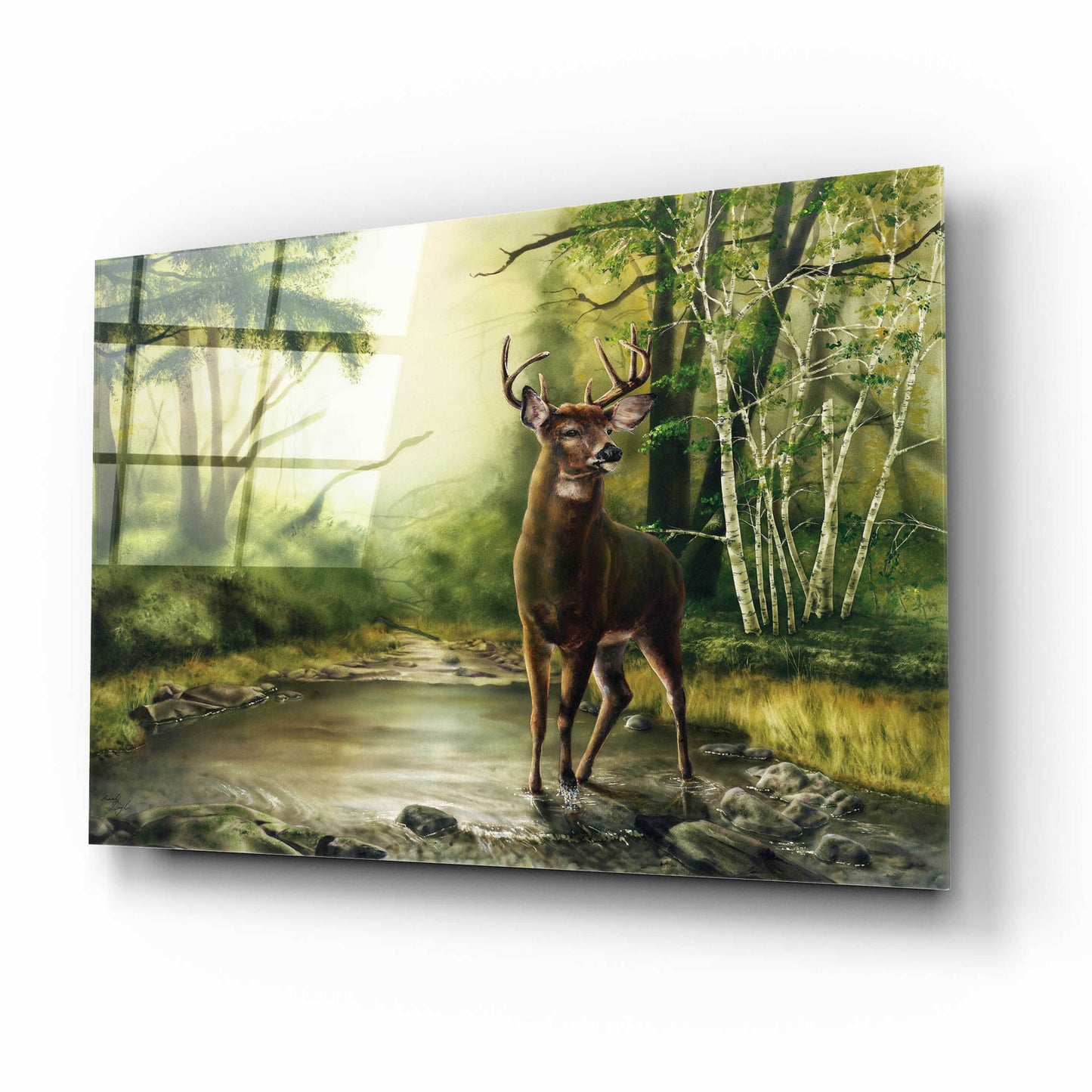 Epic Art 'Deer' by Beverly Doyle, Acrylic Glass Wall Art,16x12