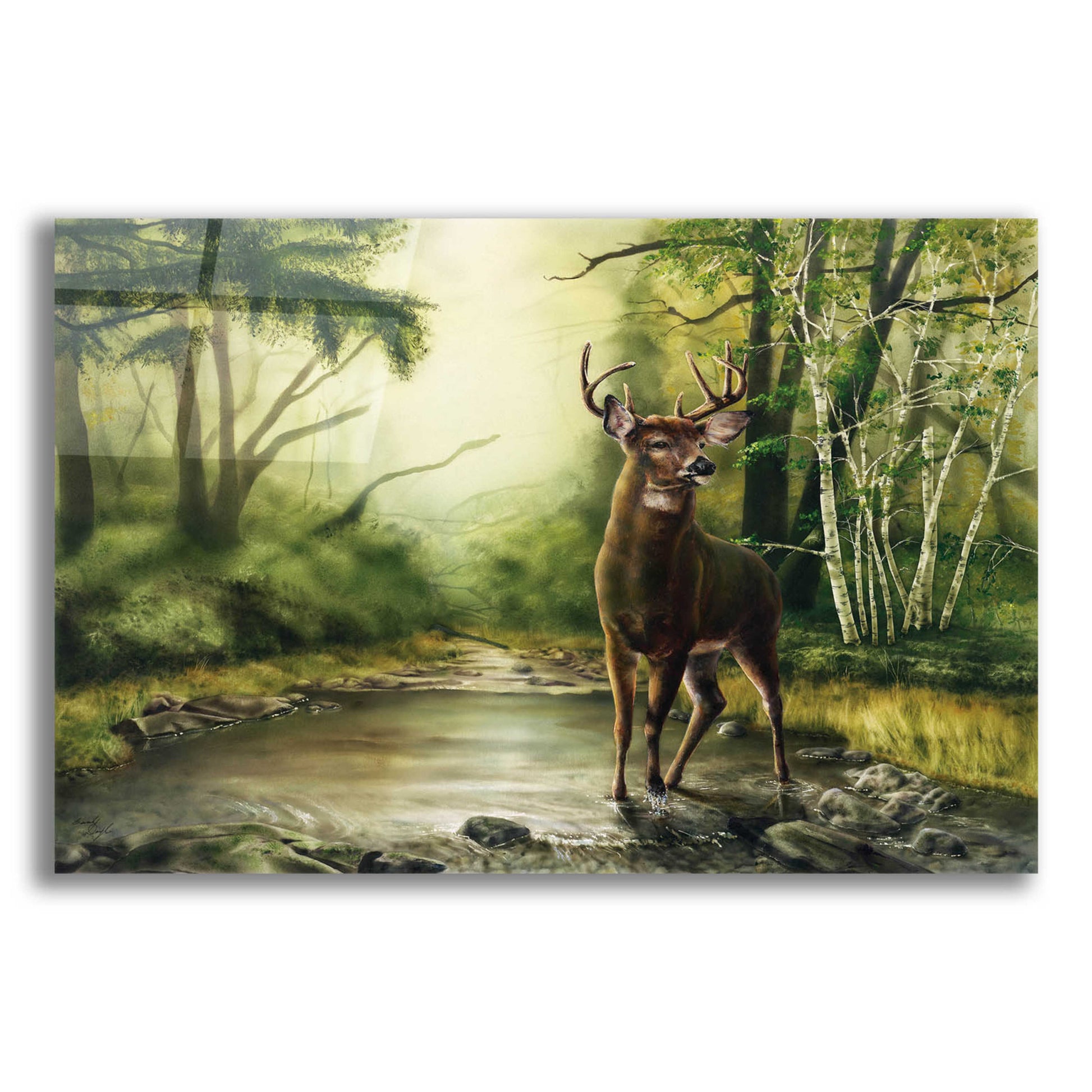 Epic Art 'Deer' by Beverly Doyle, Acrylic Glass Wall Art