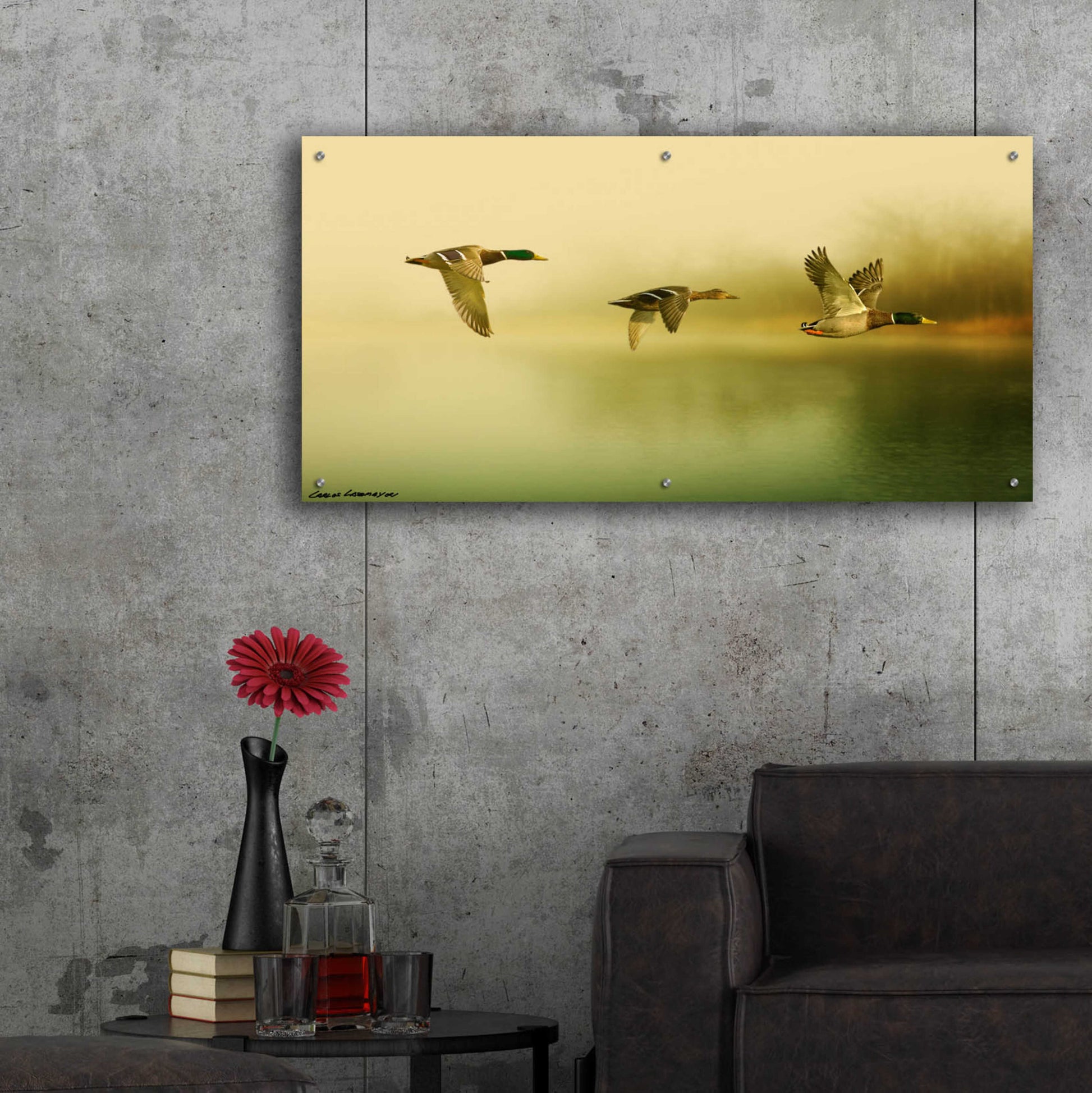 Epic Art 'Ducks Flying' by Carlos Casamayor, Acrylic Glass Wall Art,48x24