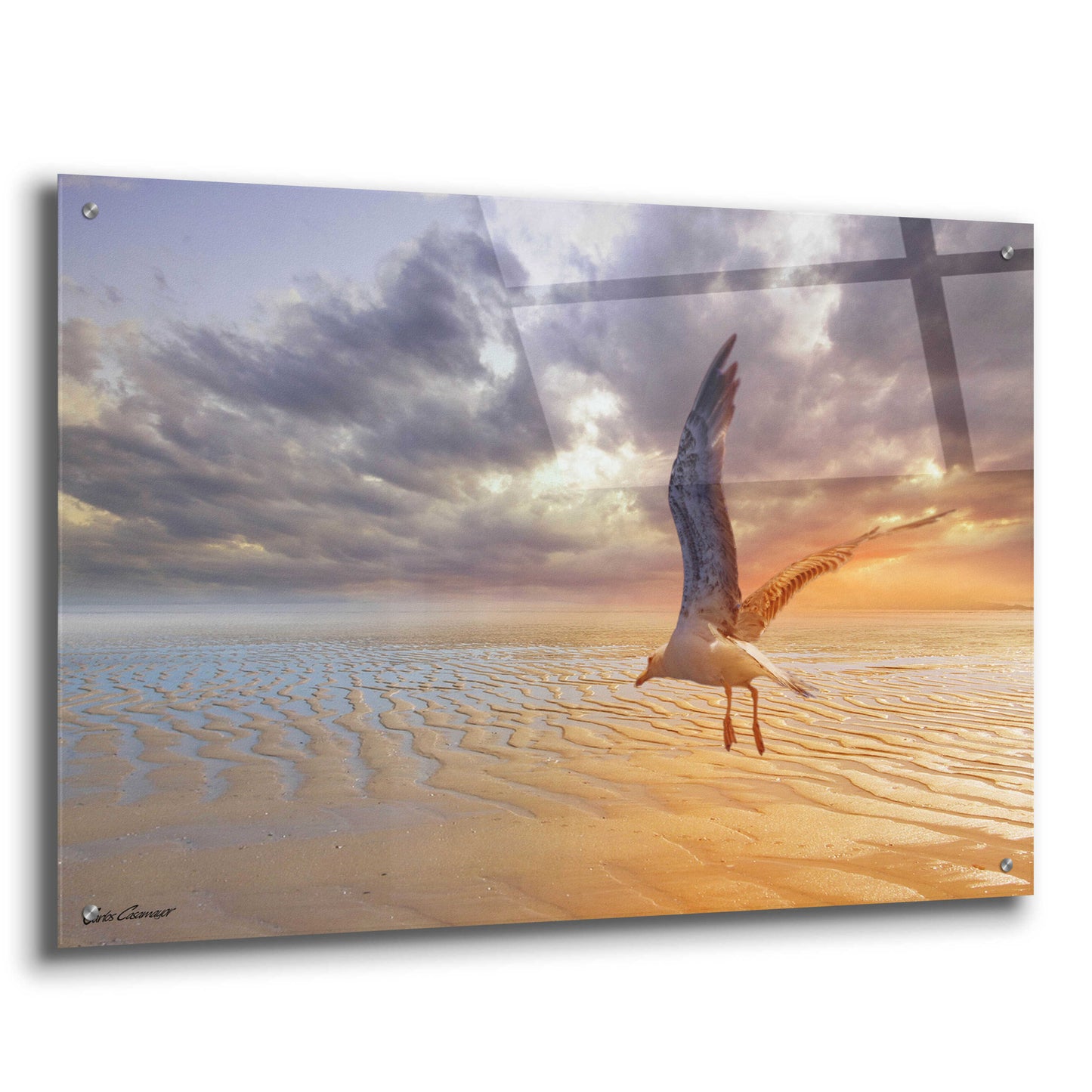 Epic Art 'Soft Sunrise on the Beach 5' by Carlos Casamayor, Acrylic Glass Wall Art,36x24