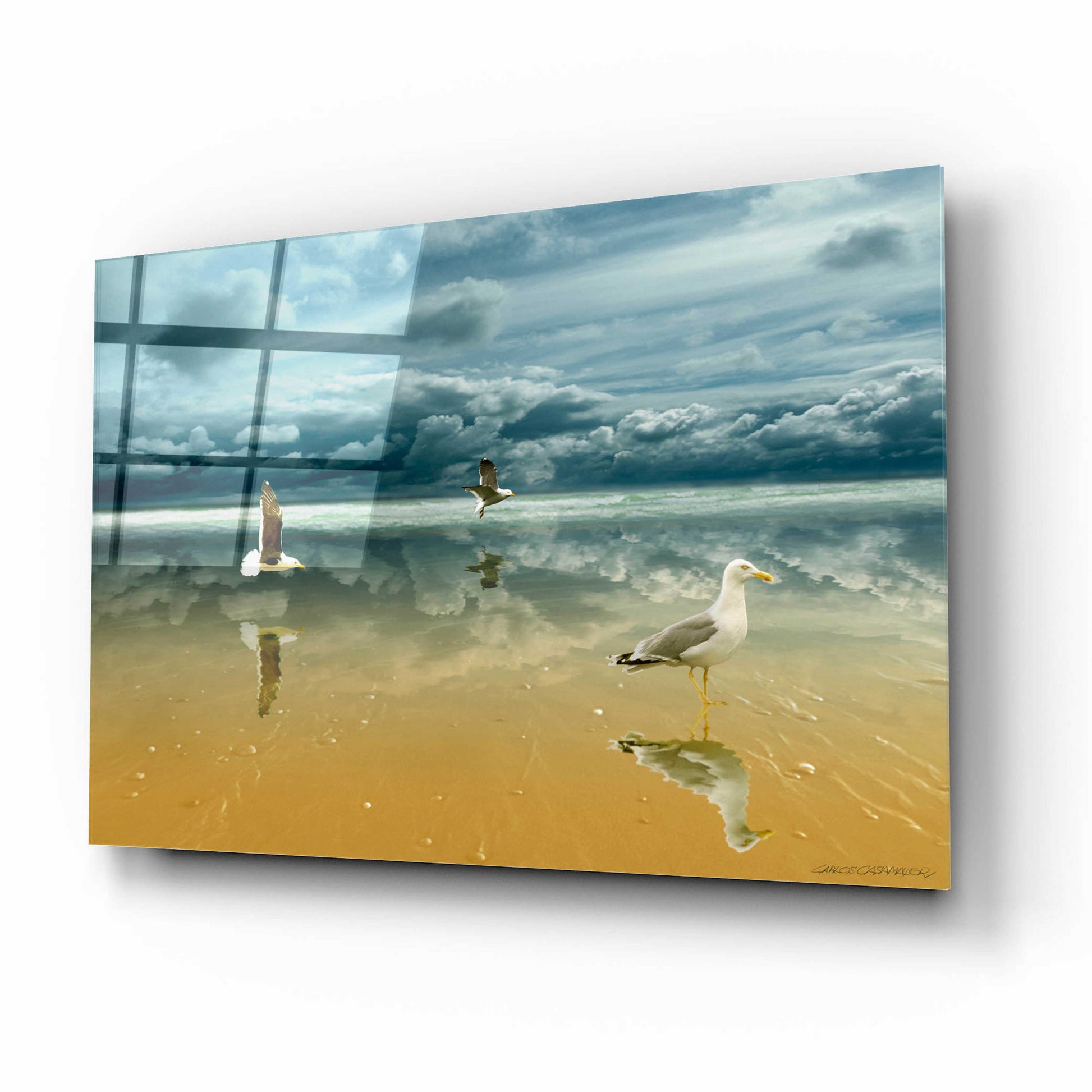 Epic Art 'Seagulls on the Beach' by Carlos Casamayor, Acrylic Glass Wall Art,16x12