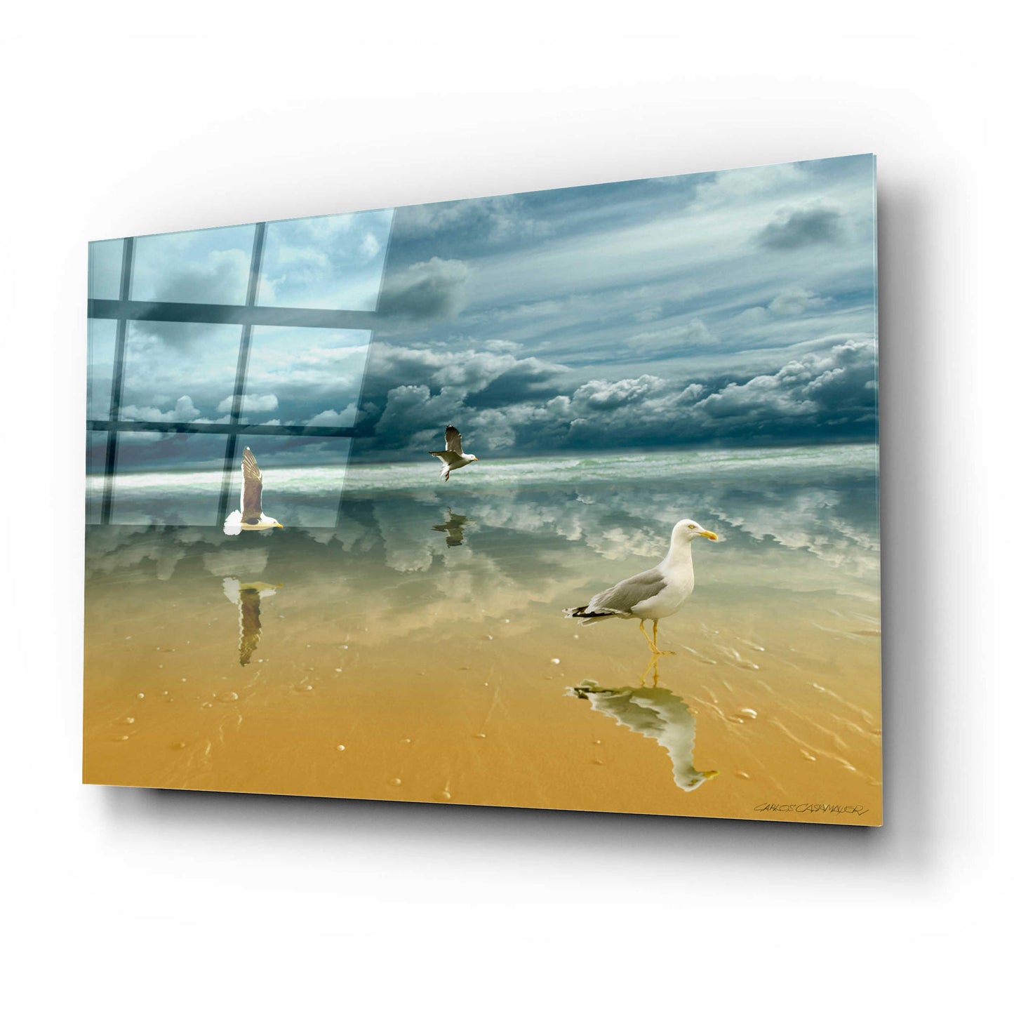 Epic Art 'Seagulls on the Beach' by Carlos Casamayor, Acrylic Glass Wall Art,24x16