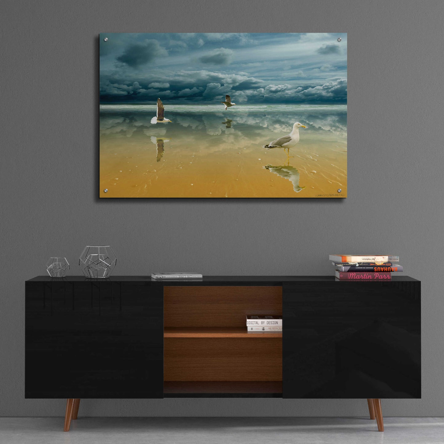 Epic Art 'Seagulls on the Beach' by Carlos Casamayor, Acrylic Glass Wall Art,36x24