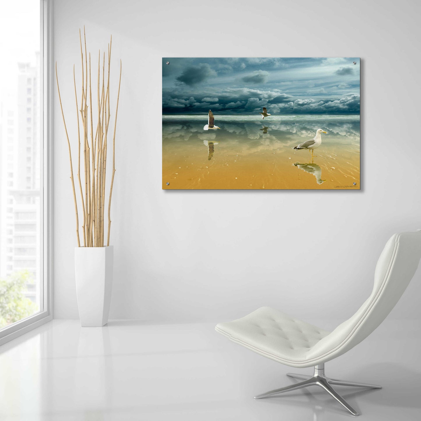 Epic Art 'Seagulls on the Beach' by Carlos Casamayor, Acrylic Glass Wall Art,36x24