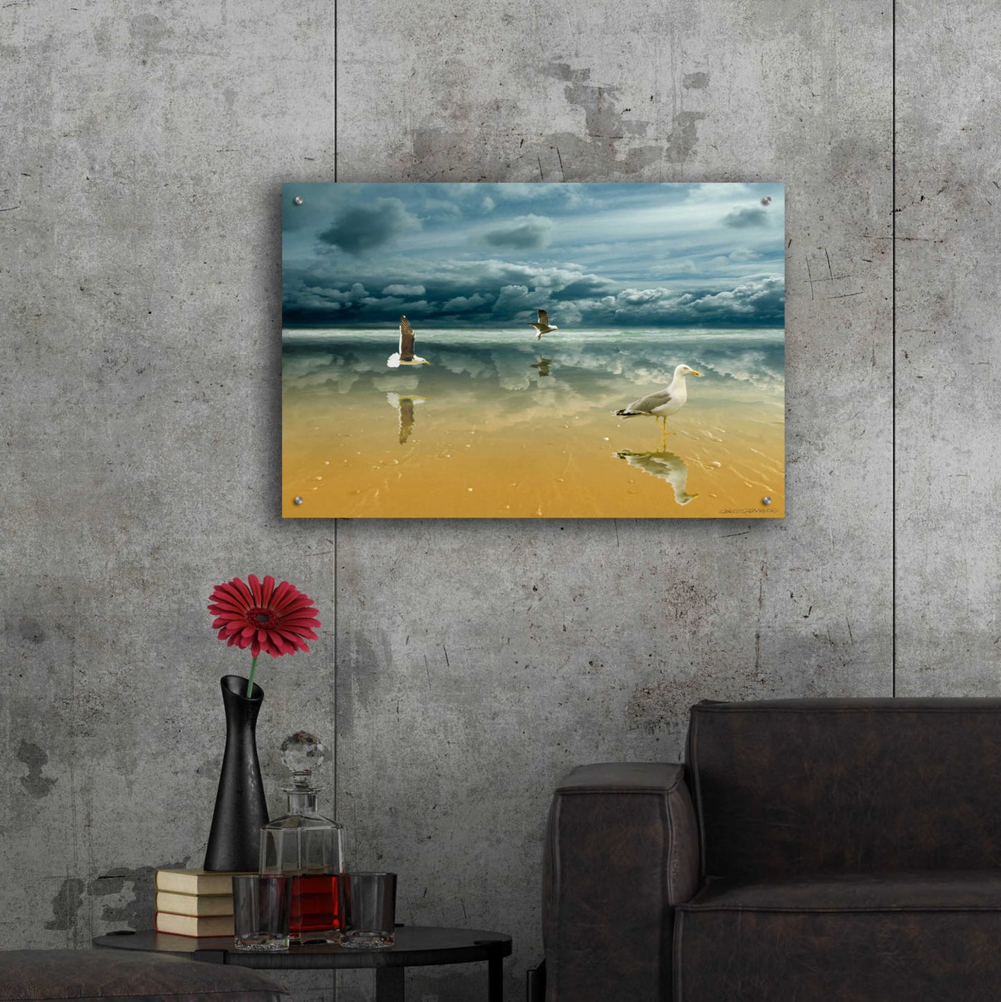 Epic Art 'Seagulls on the Beach' by Carlos Casamayor, Acrylic Glass Wall Art,36x24