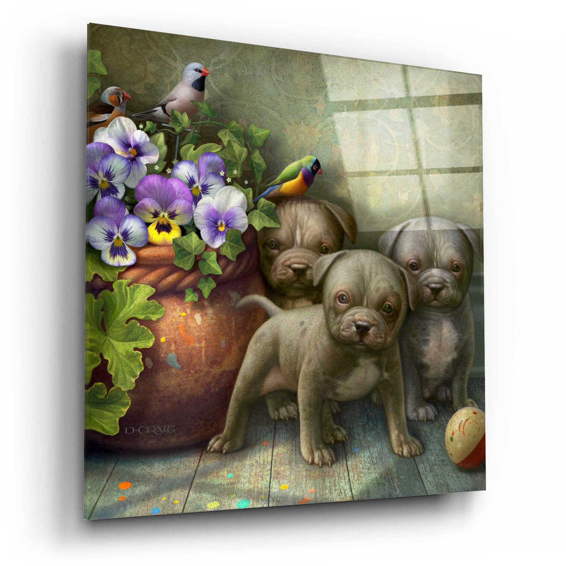 Epic Art 'Pit Bull Pups' by Dan Craig, Acrylic Glass Wall Art,12x12