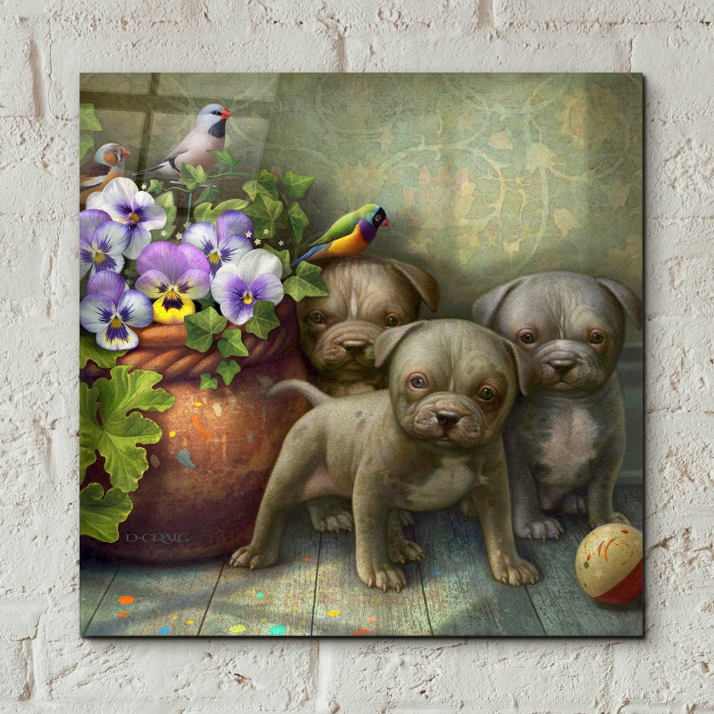 Epic Art 'Pit Bull Pups' by Dan Craig, Acrylic Glass Wall Art,12x12