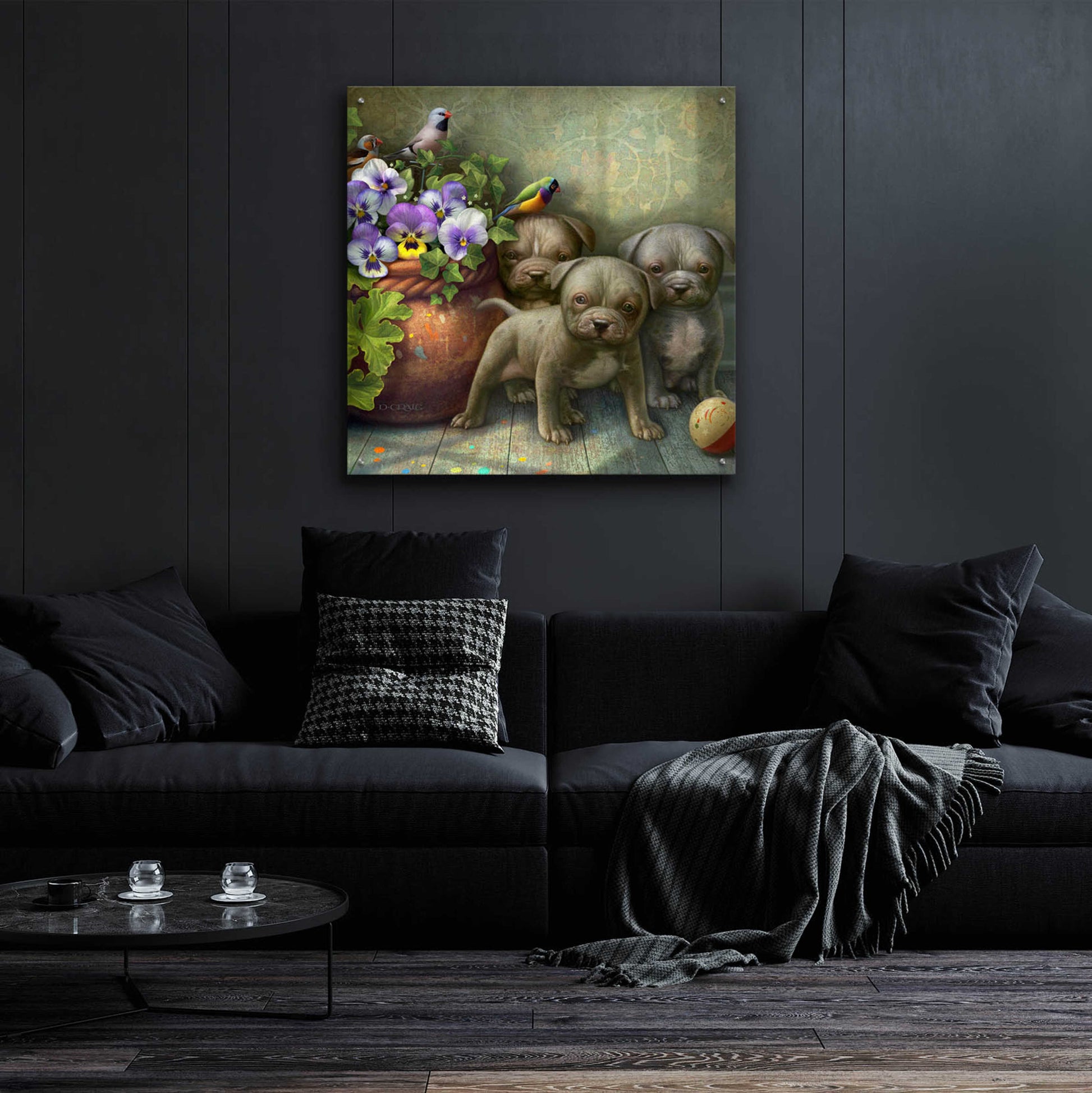 Epic Art 'Pit Bull Pups' by Dan Craig, Acrylic Glass Wall Art,36x36