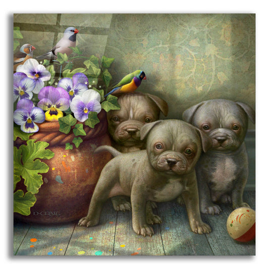 Epic Art 'Pit Bull Pups' by Dan Craig, Acrylic Glass Wall Art