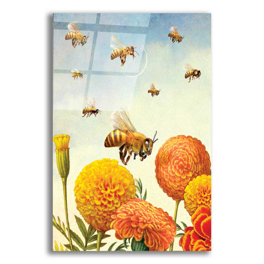 Epic Art '8 Of Fire Bees' by Dan Craig, Acrylic Glass Wall Art