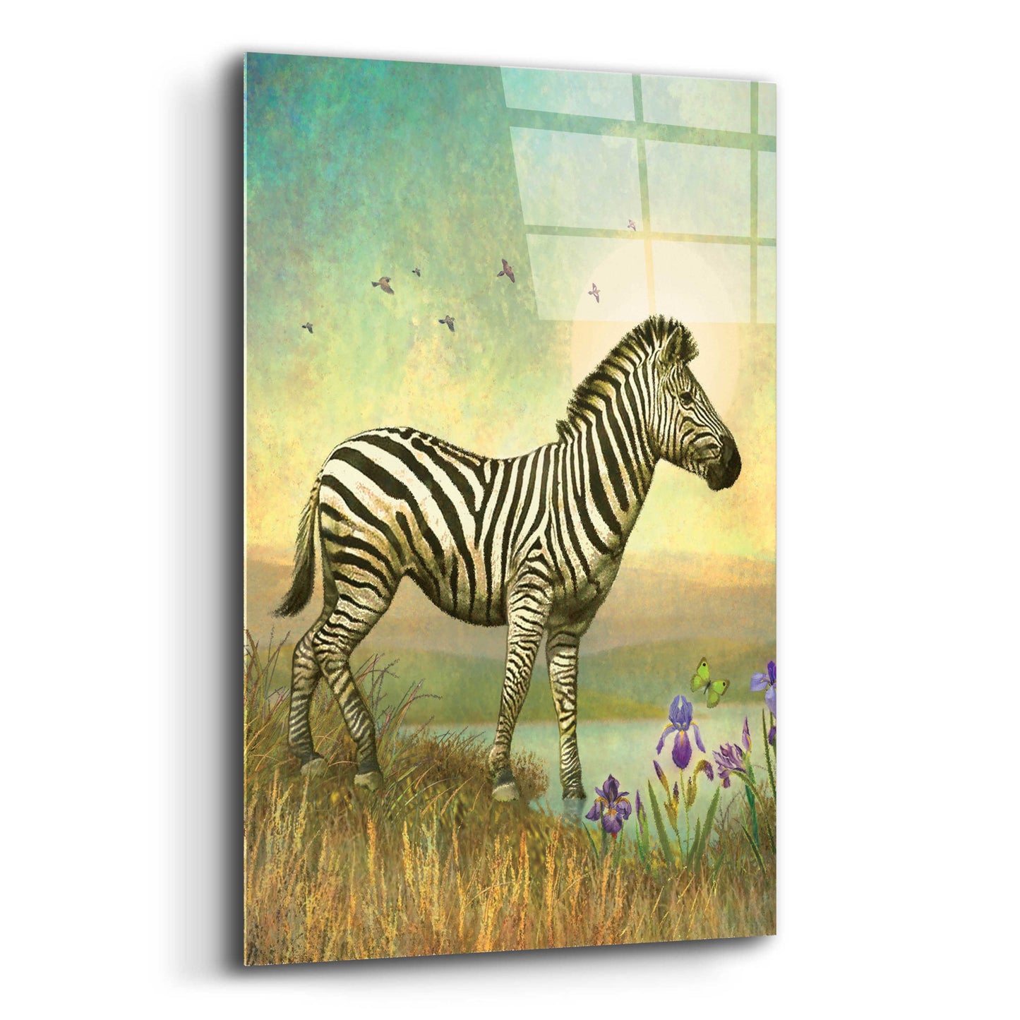 Epic Art 'Balance-Zebra' by Dan Craig, Acrylic Glass Wall Art,12x16