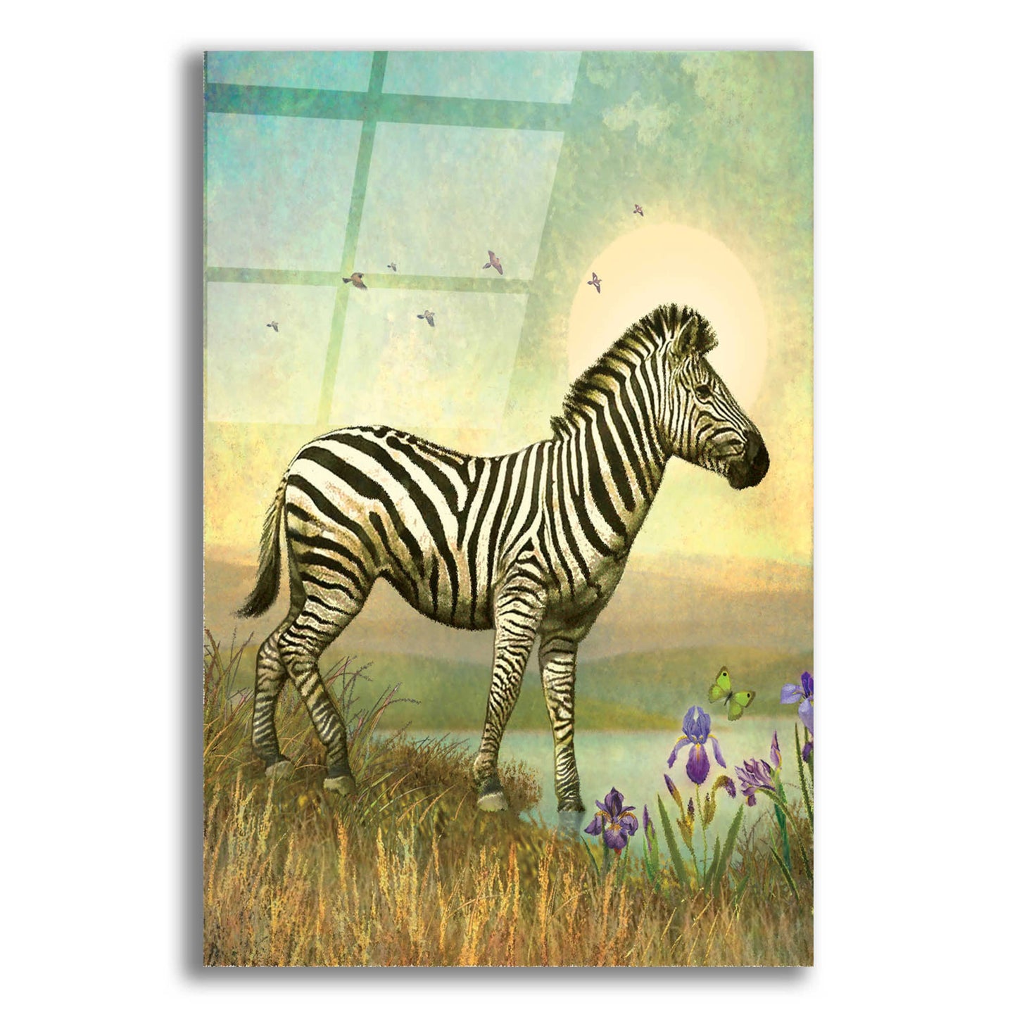 Epic Art 'Balance-Zebra' by Dan Craig, Acrylic Glass Wall Art