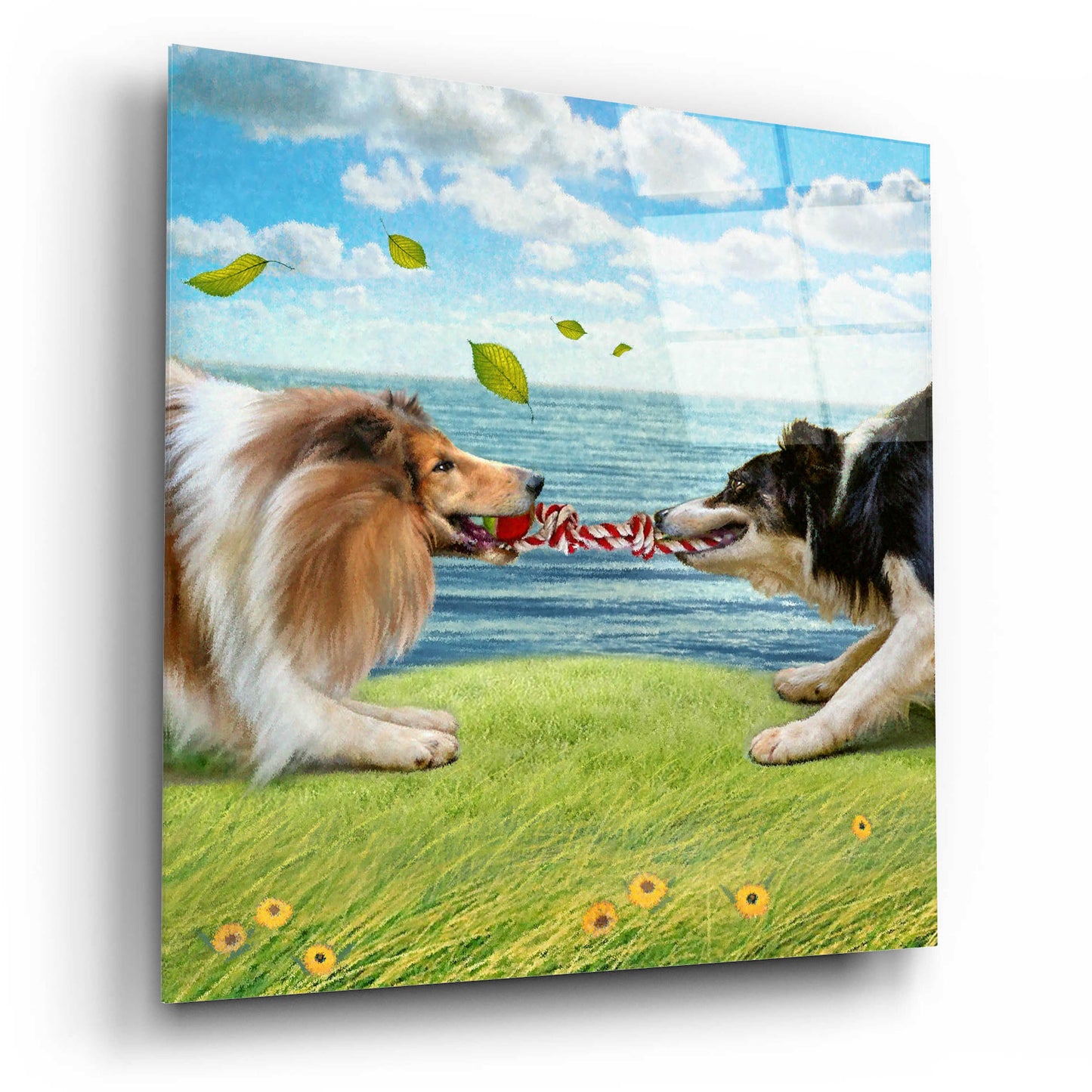 Epic Art 'Five Of Air-Collies' by Dan Craig, Acrylic Glass Wall Art,12x12