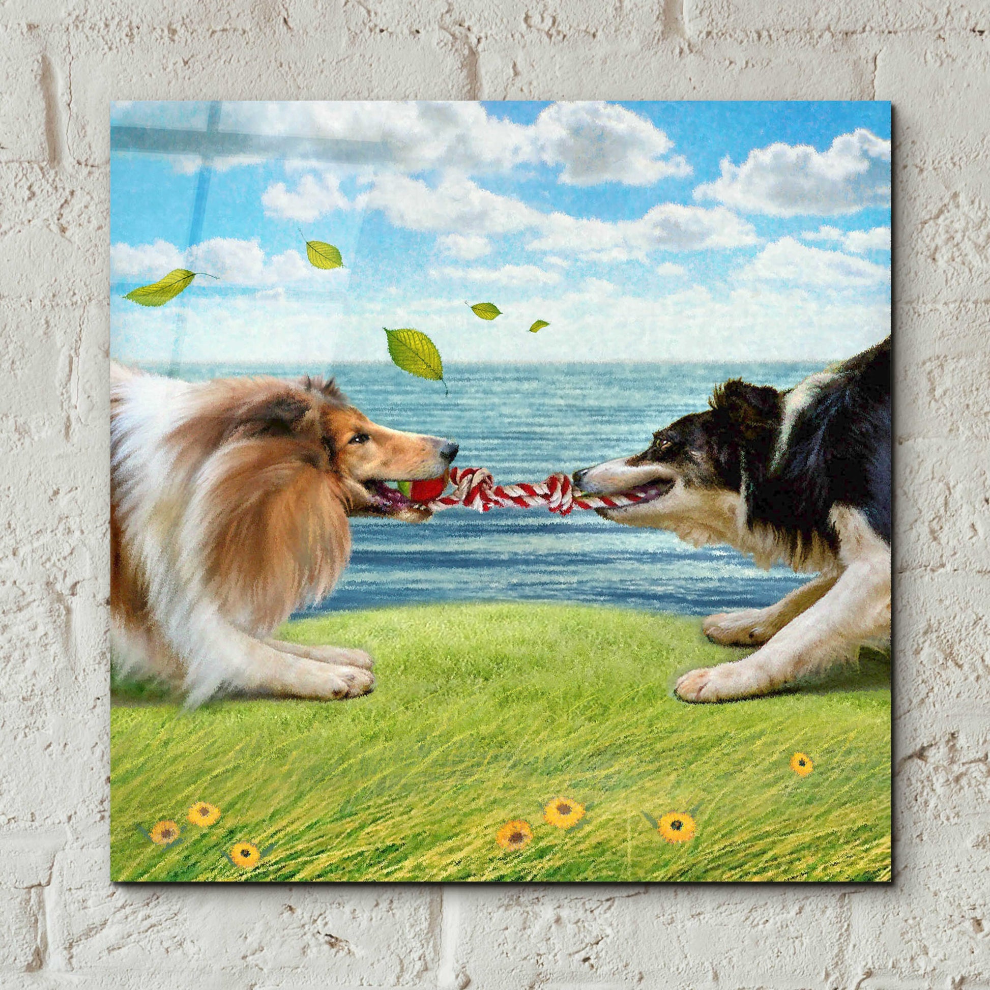 Epic Art 'Five Of Air-Collies' by Dan Craig, Acrylic Glass Wall Art,12x12