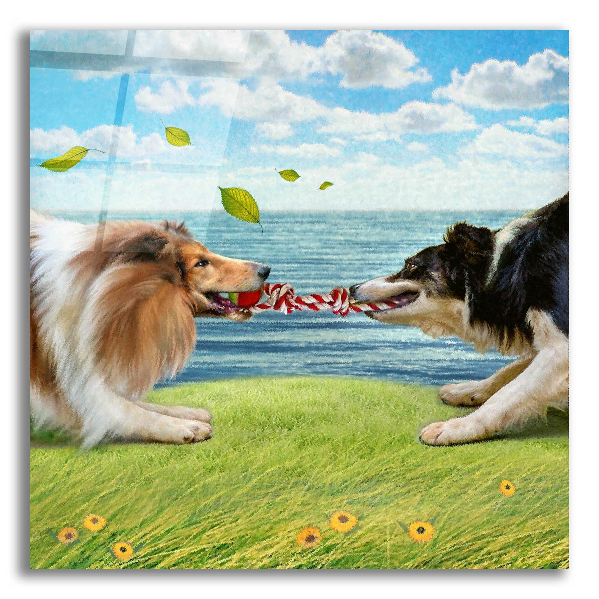 Epic Art 'Five Of Air-Collies' by Dan Craig, Acrylic Glass Wall Art