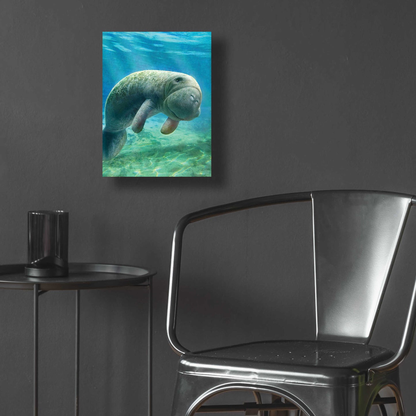 Epic Art 'Five Of Earth-Manatee' by Dan Craig, Acrylic Glass Wall Art,12x16