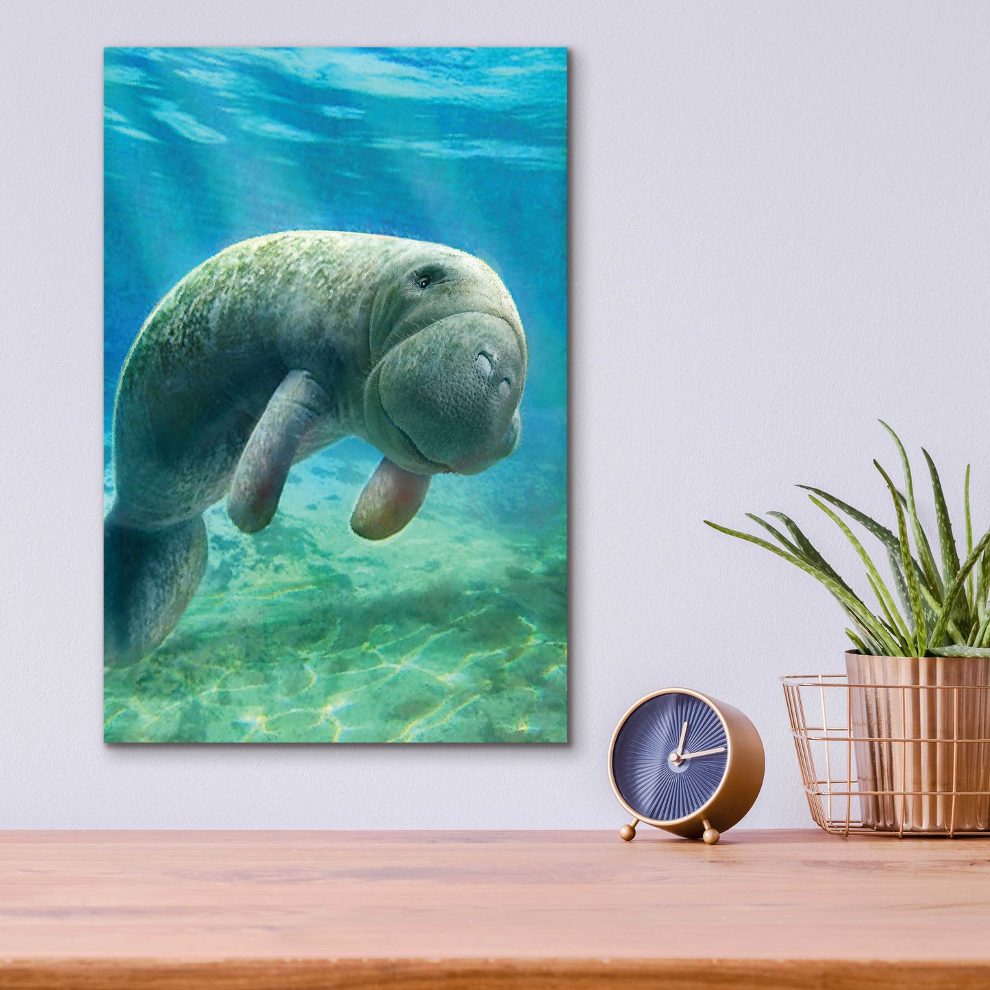 Epic Art 'Five Of Earth-Manatee' by Dan Craig, Acrylic Glass Wall Art,12x16