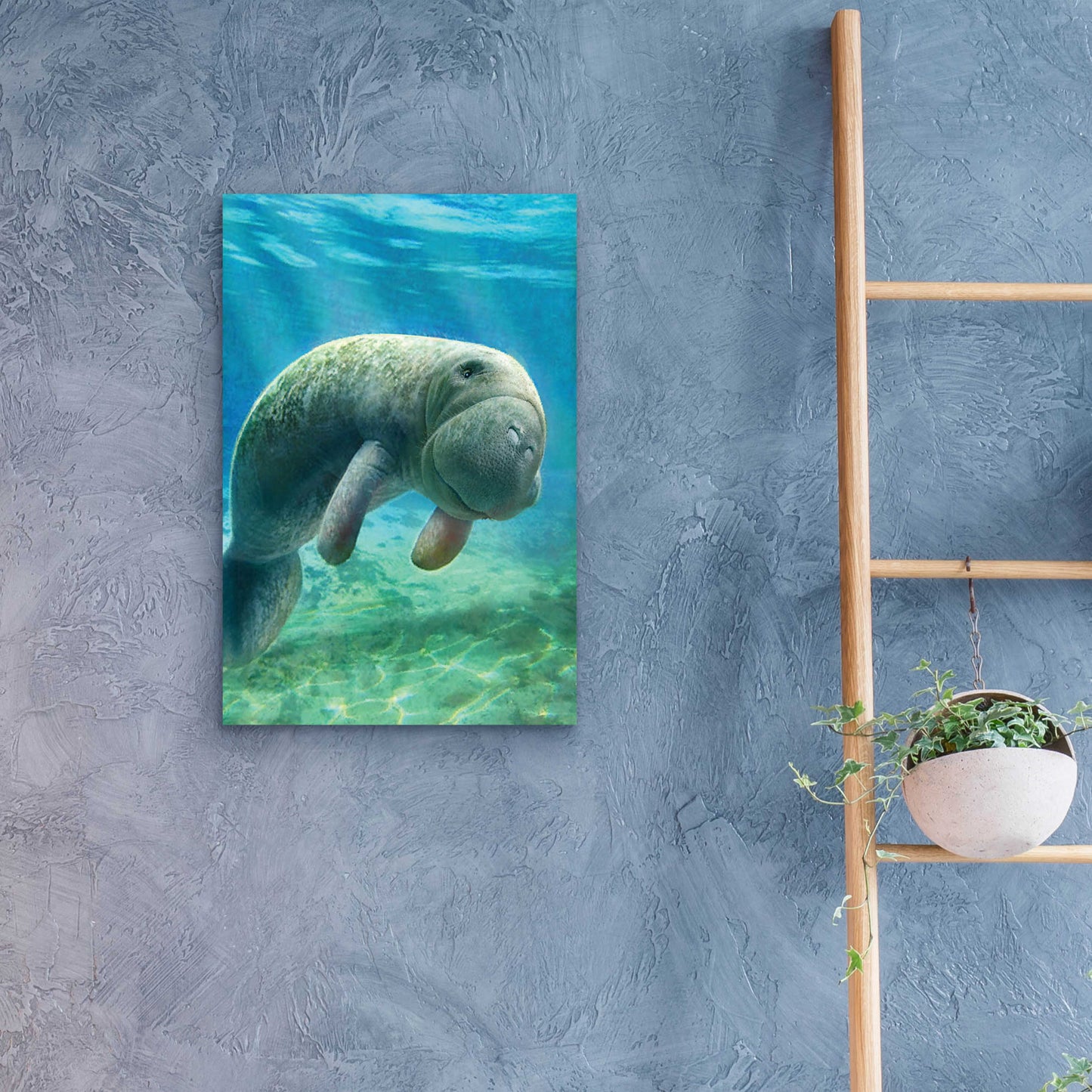 Epic Art 'Five Of Earth-Manatee' by Dan Craig, Acrylic Glass Wall Art,16x24