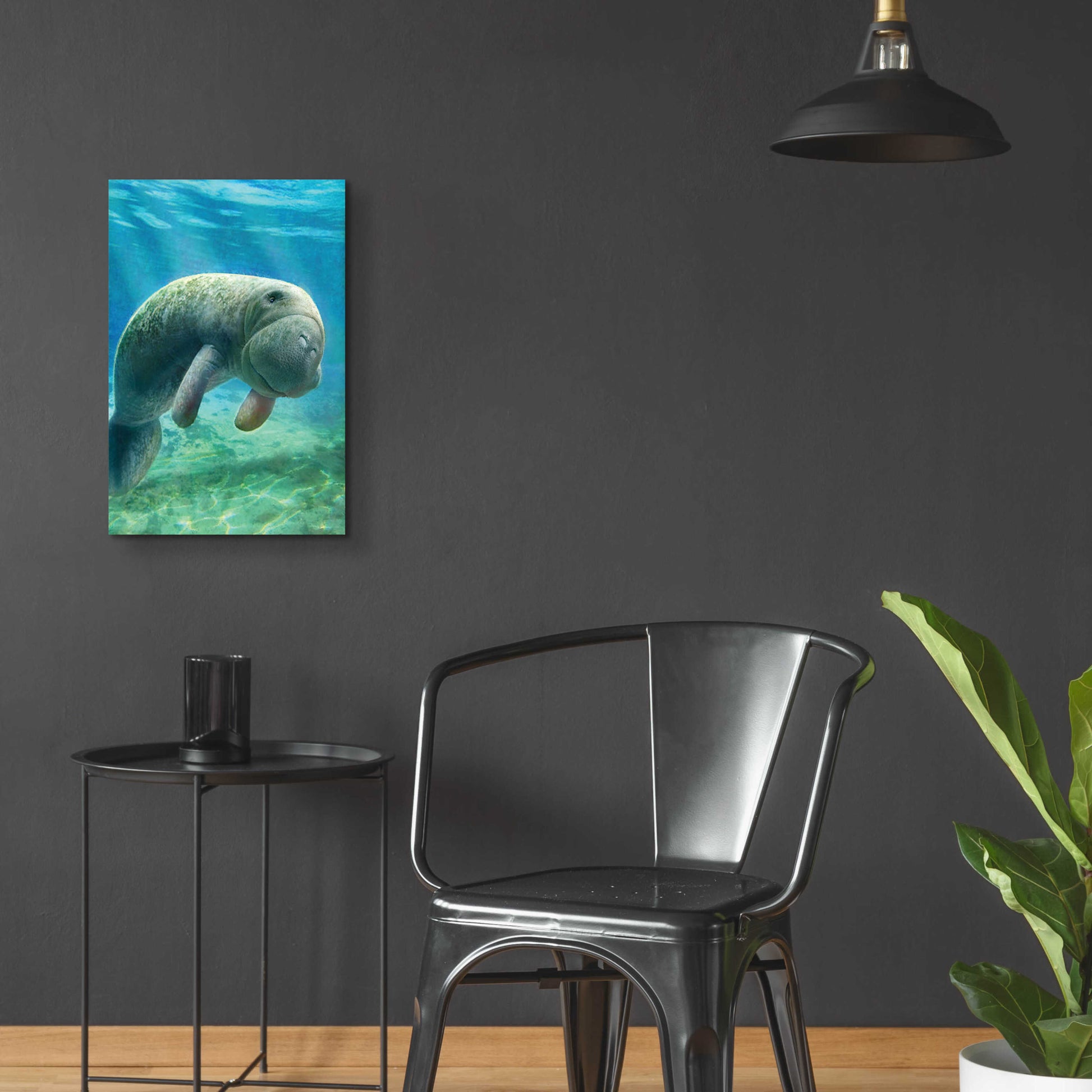 Epic Art 'Five Of Earth-Manatee' by Dan Craig, Acrylic Glass Wall Art,16x24