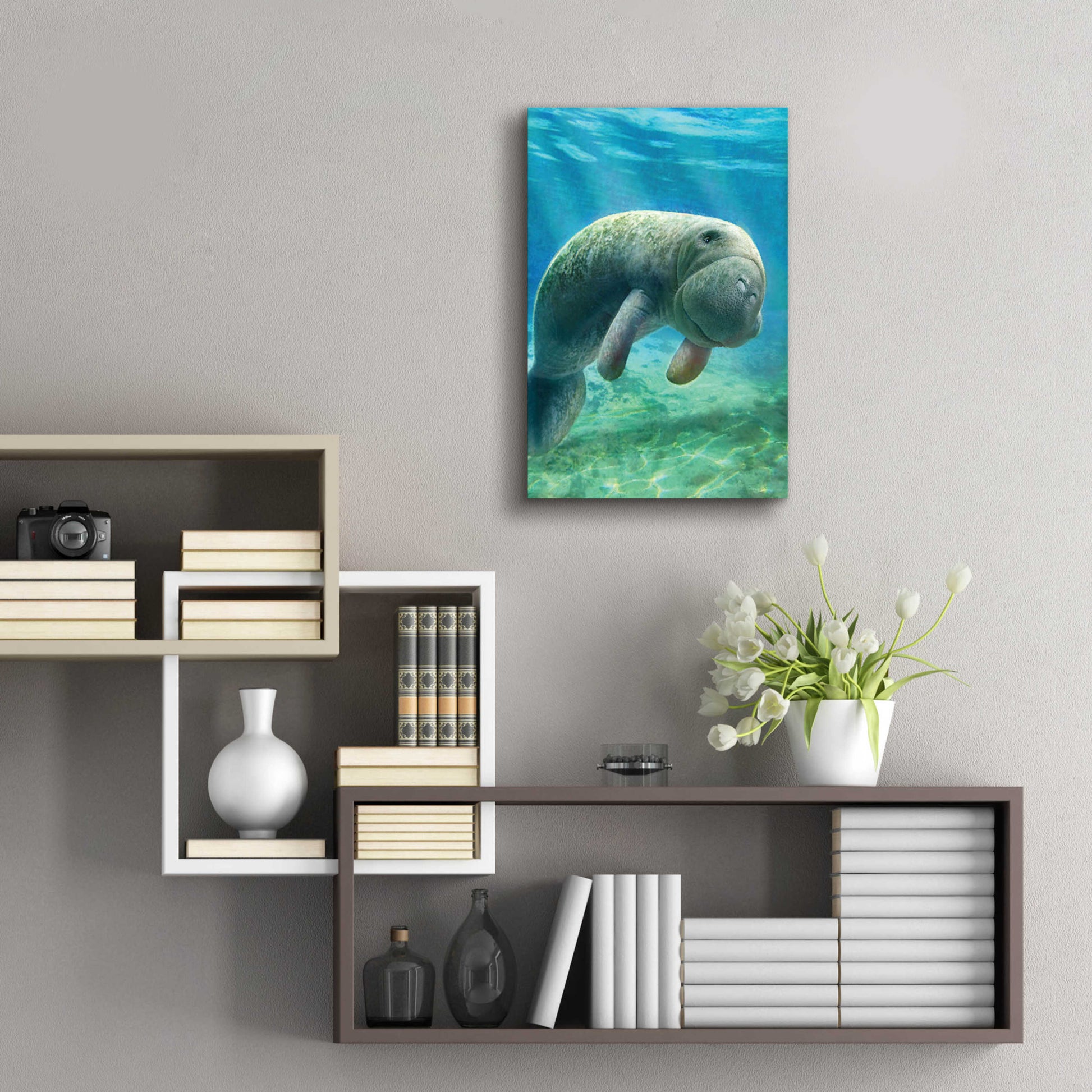 Epic Art 'Five Of Earth-Manatee' by Dan Craig, Acrylic Glass Wall Art,16x24