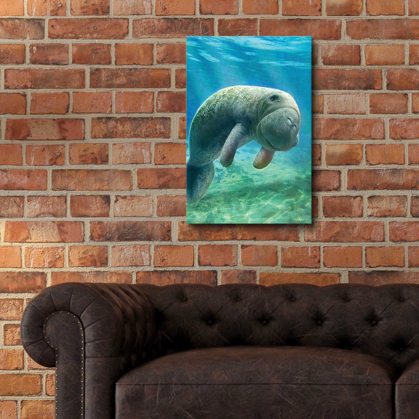 Epic Art 'Five Of Earth-Manatee' by Dan Craig, Acrylic Glass Wall Art,16x24