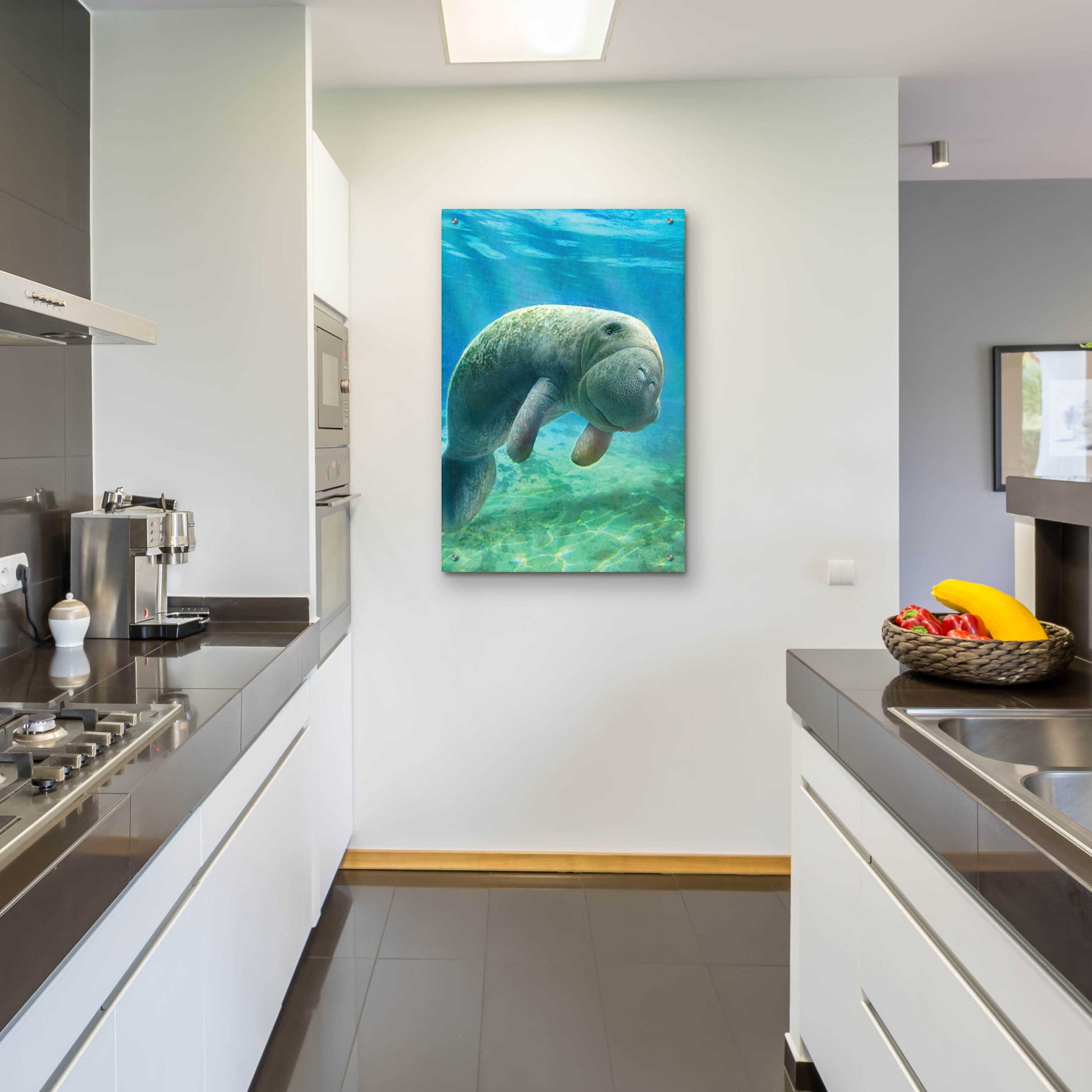 Epic Art 'Five Of Earth-Manatee' by Dan Craig, Acrylic Glass Wall Art,24x36