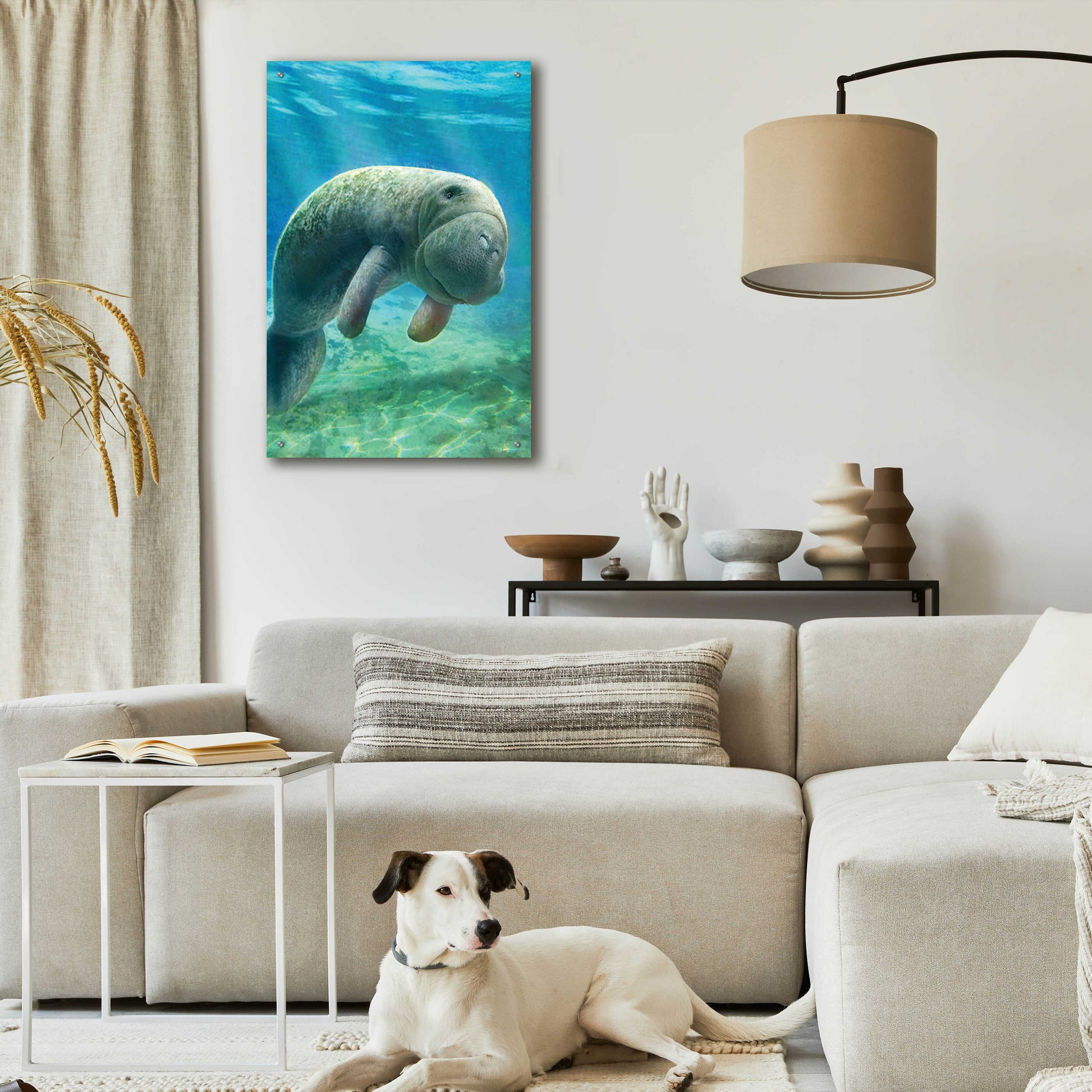 Epic Art 'Five Of Earth-Manatee' by Dan Craig, Acrylic Glass Wall Art,24x36