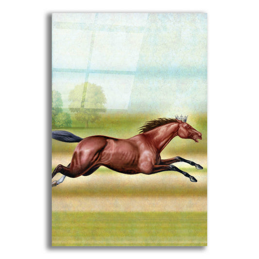 Epic Art 'Knight Of Air-Horse' by Dan Craig, Acrylic Glass Wall Art