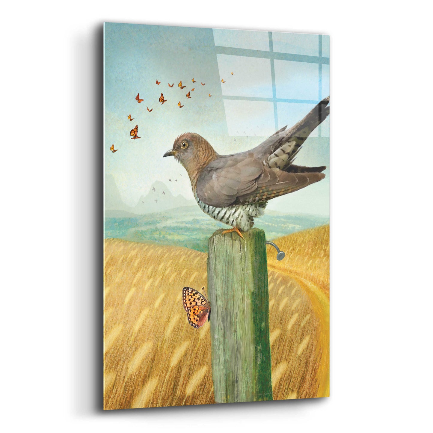 Epic Art 'Life Experience-Cuckoo' by Dan Craig, Acrylic Glass Wall Art,12x16