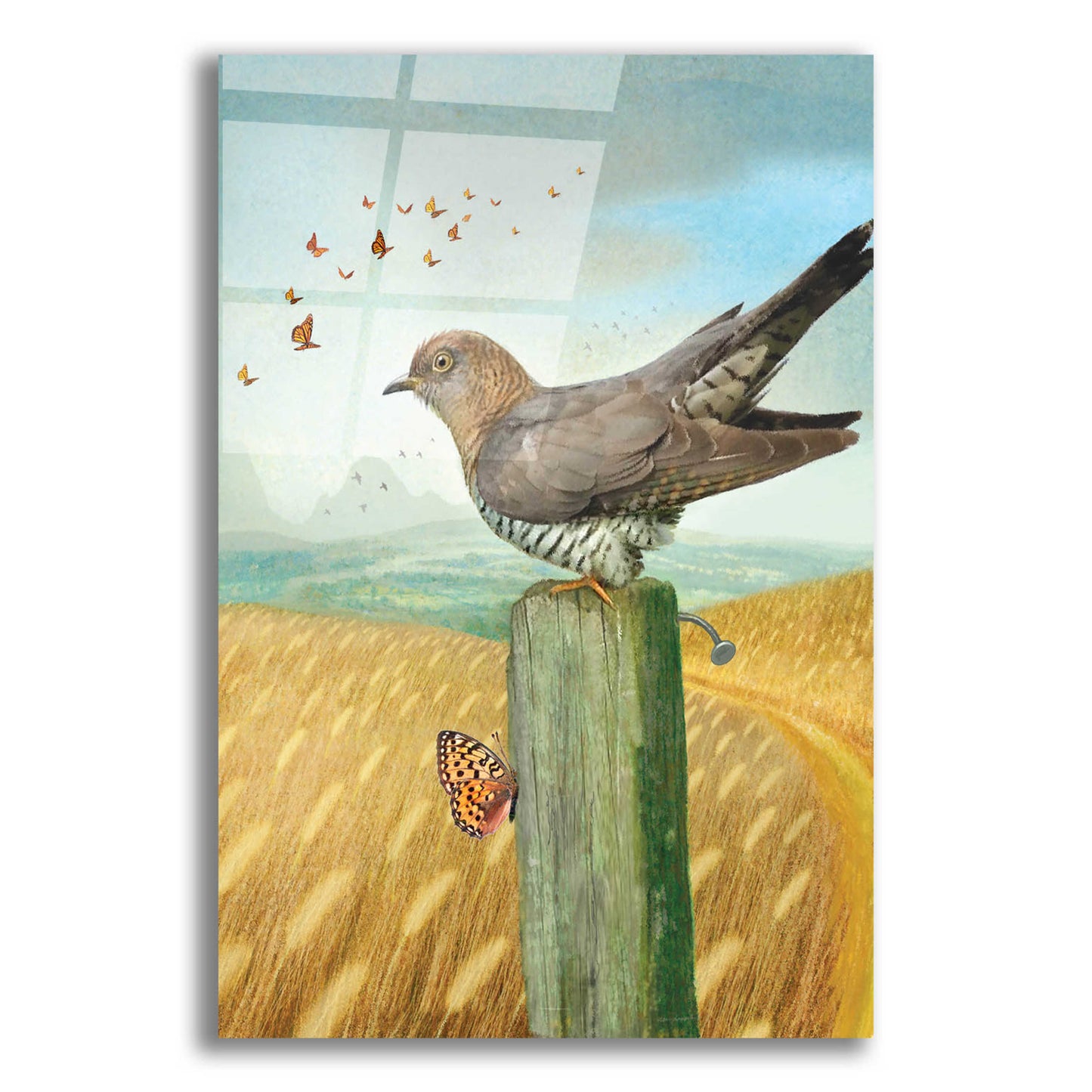 Epic Art 'Life Experience-Cuckoo' by Dan Craig, Acrylic Glass Wall Art