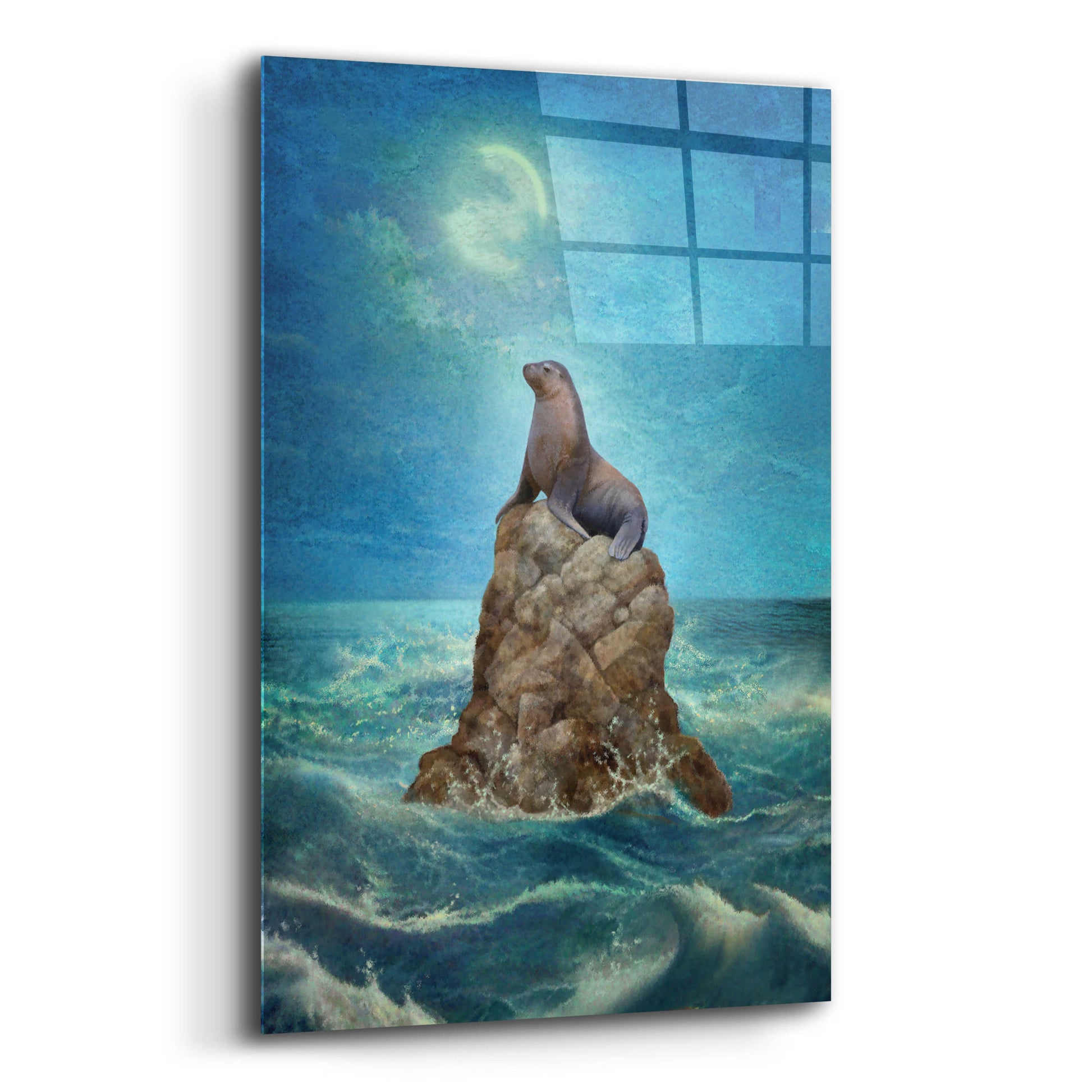 Epic Art 'Nine Of Air Sea Lion' by Dan Craig, Acrylic Glass Wall Art,12x16