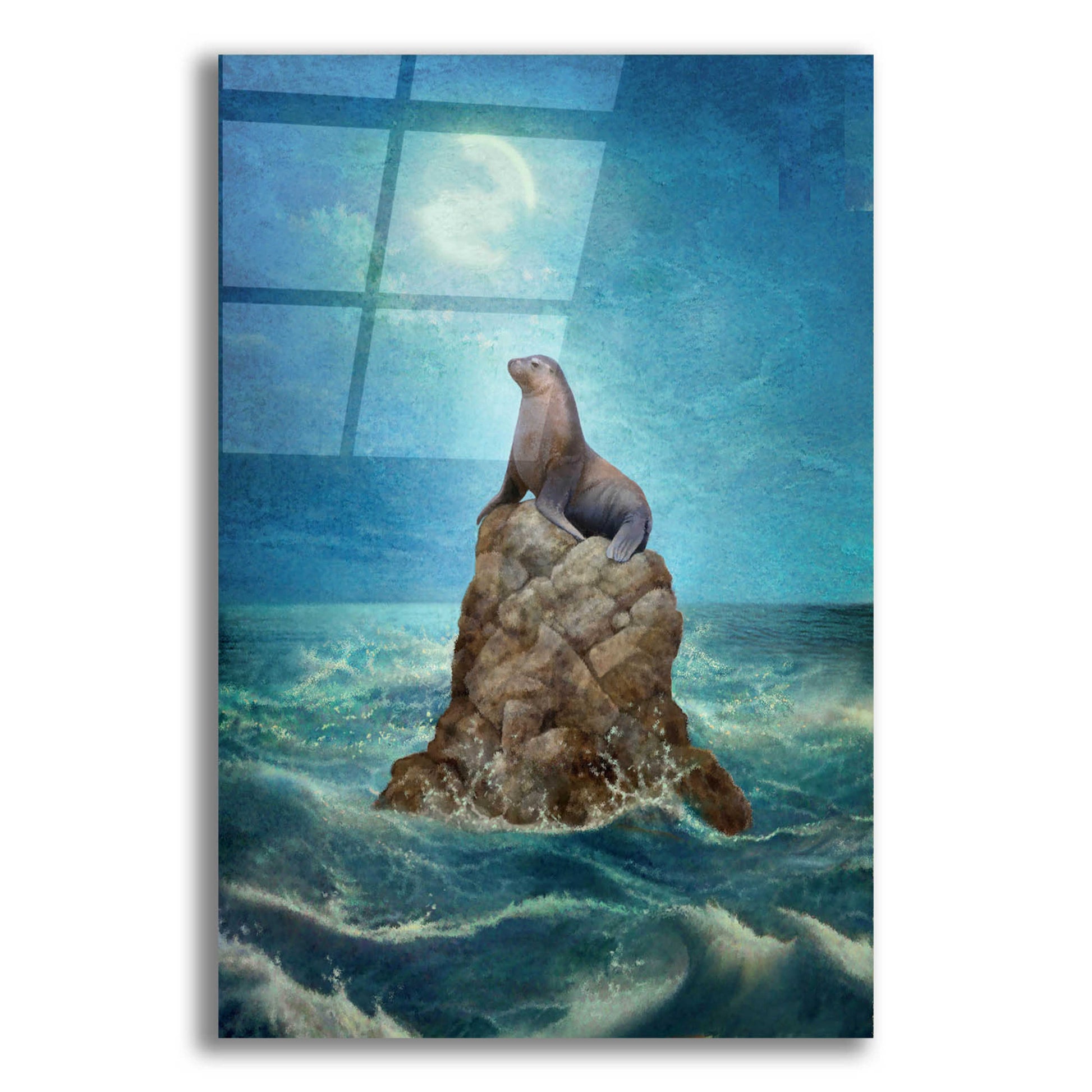 Epic Art 'Nine Of Air Sea Lion' by Dan Craig, Acrylic Glass Wall Art