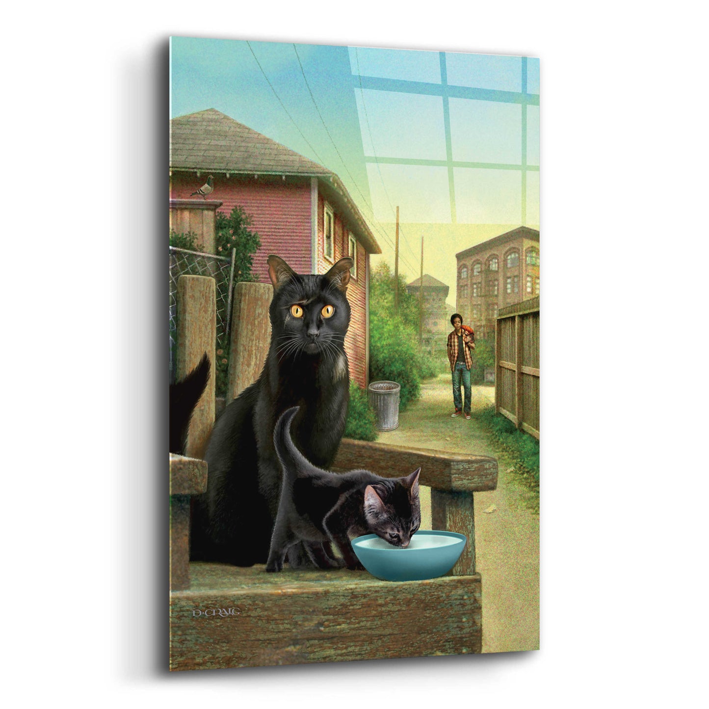 Epic Art 'Old Cat Cover' by Dan Craig, Acrylic Glass Wall Art,12x16