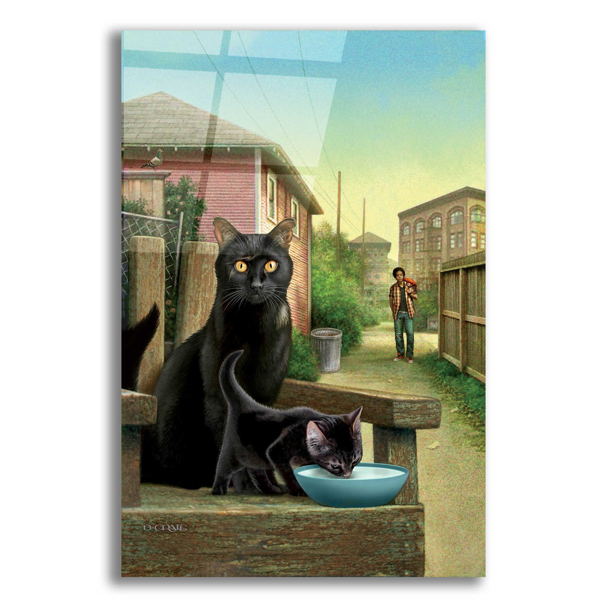 Epic Art 'Old Cat Cover' by Dan Craig, Acrylic Glass Wall Art