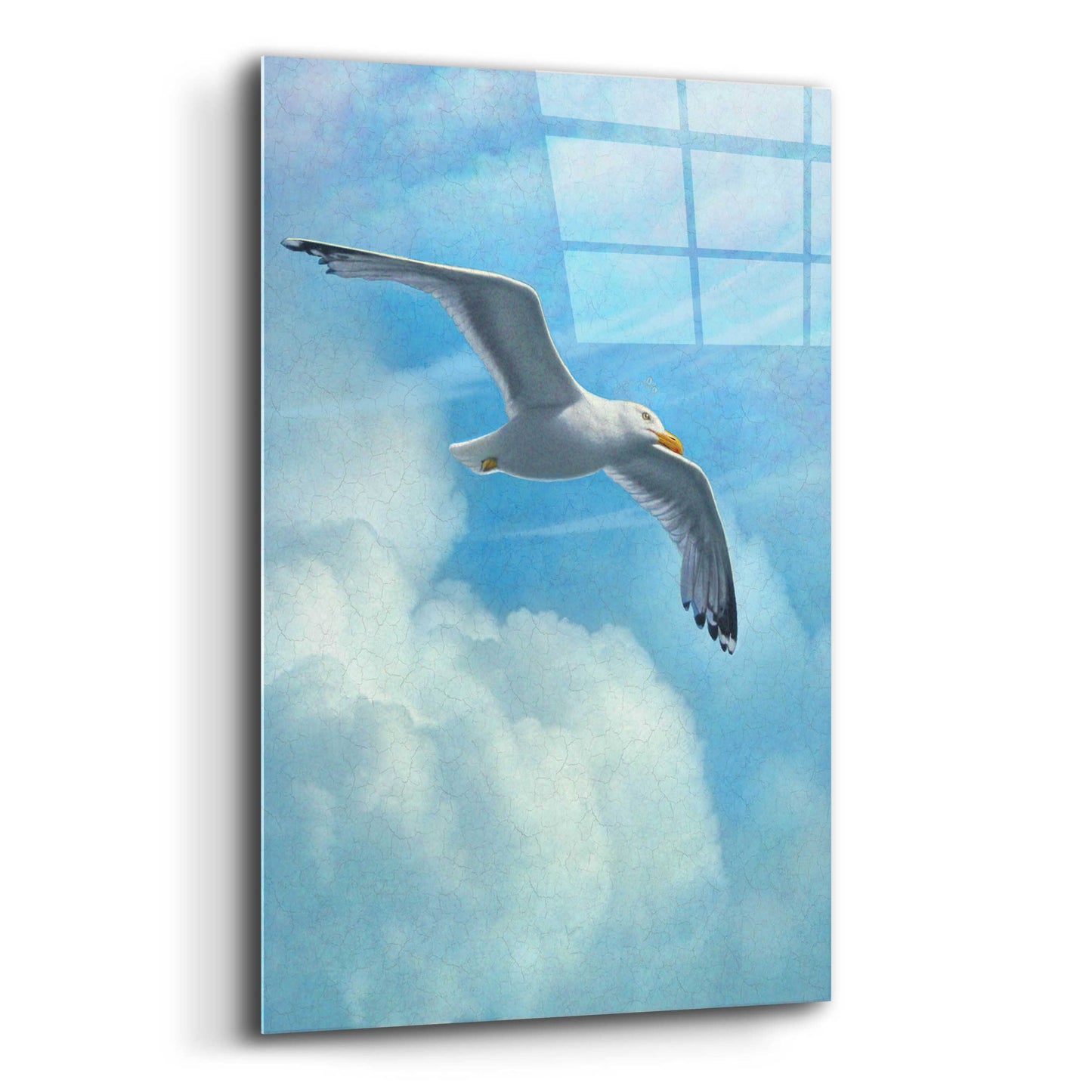 Epic Art 'Page Of Earth-Seasgull' by Dan Craig, Acrylic Glass Wall Art,12x16