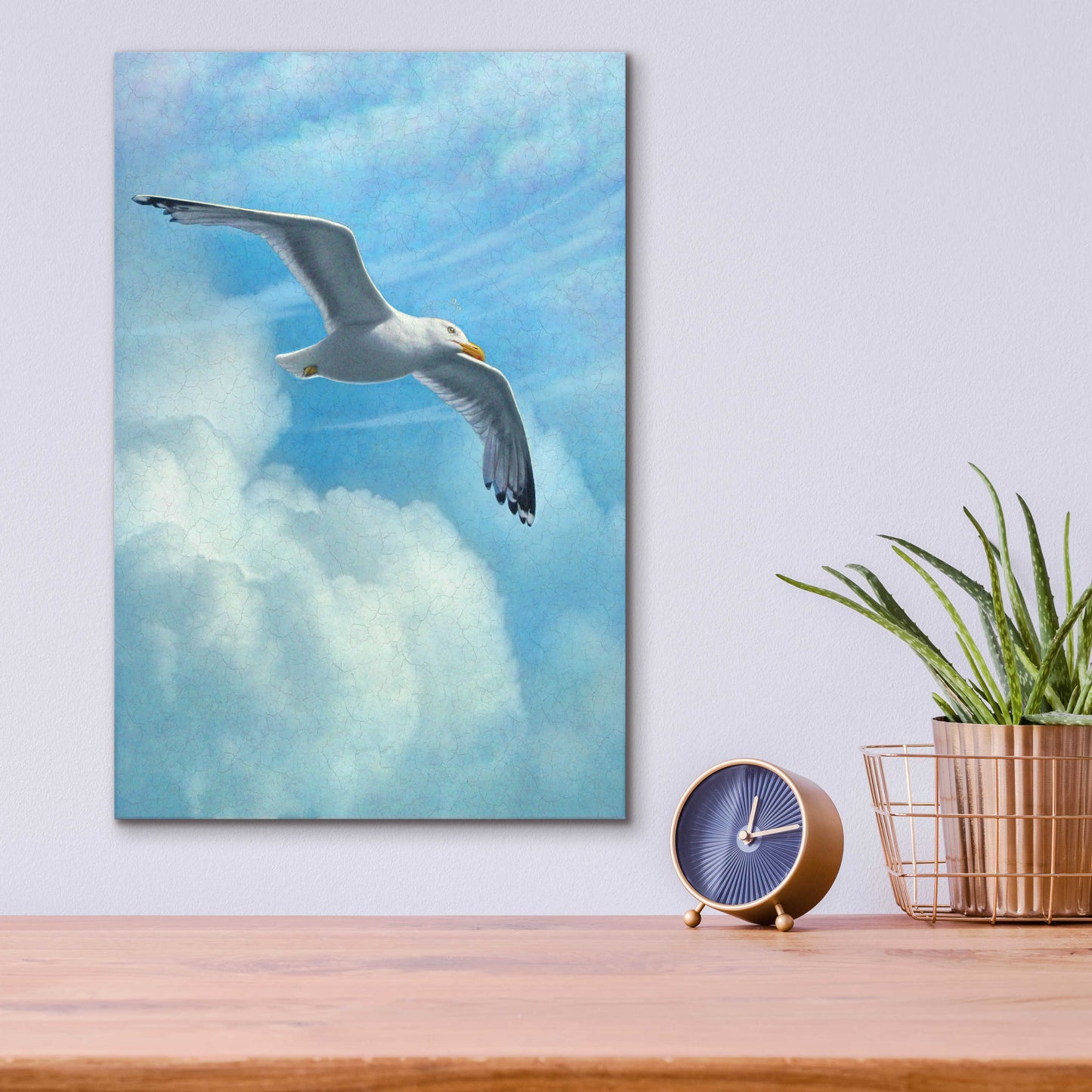 Epic Art 'Page Of Earth-Seasgull' by Dan Craig, Acrylic Glass Wall Art,12x16