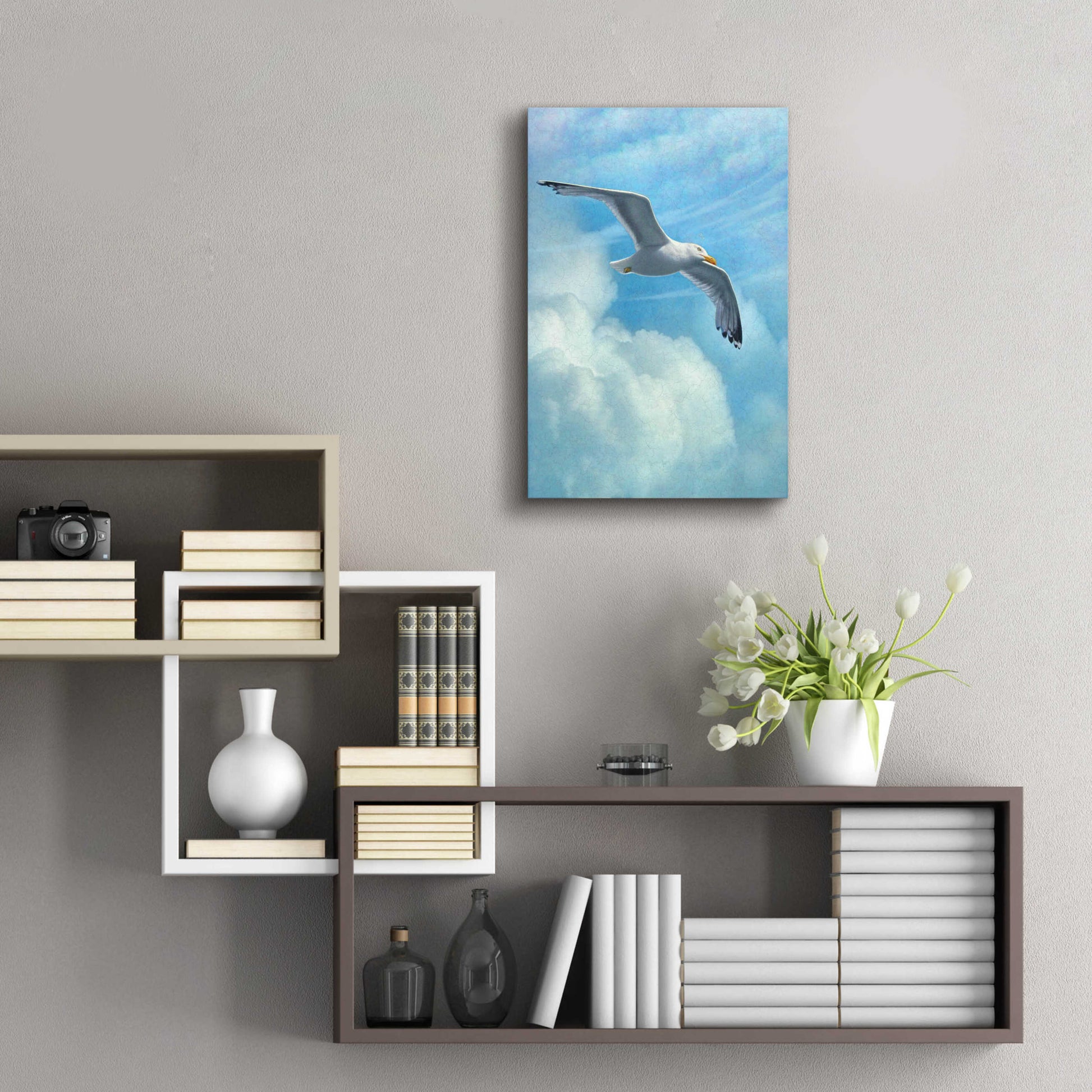 Epic Art 'Page Of Earth-Seasgull' by Dan Craig, Acrylic Glass Wall Art,16x24